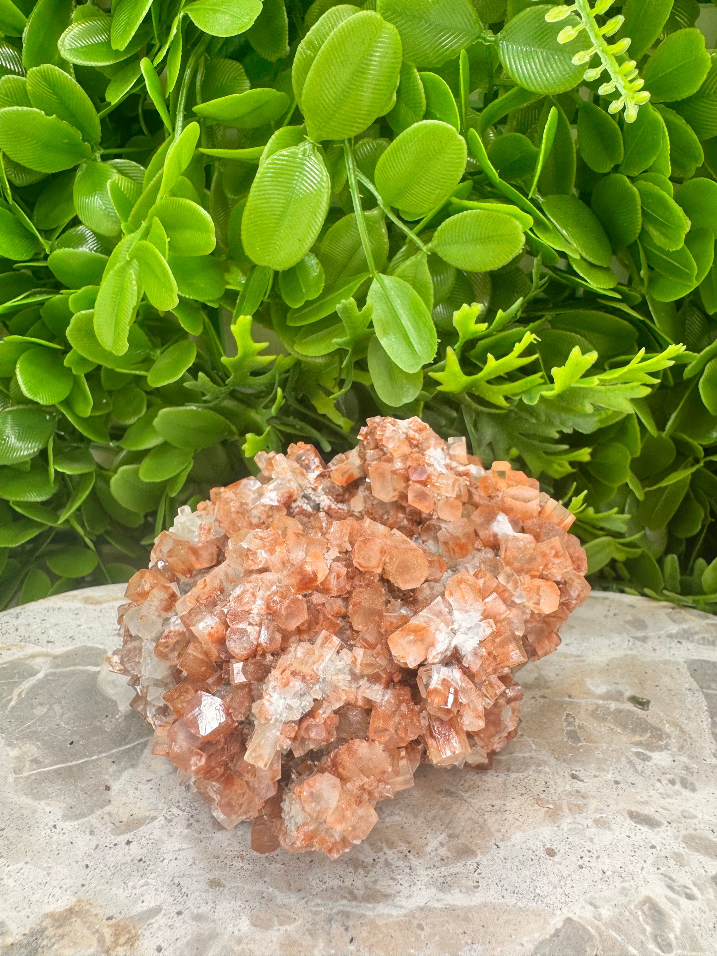 Aragonite Sputnik Freeform 786g