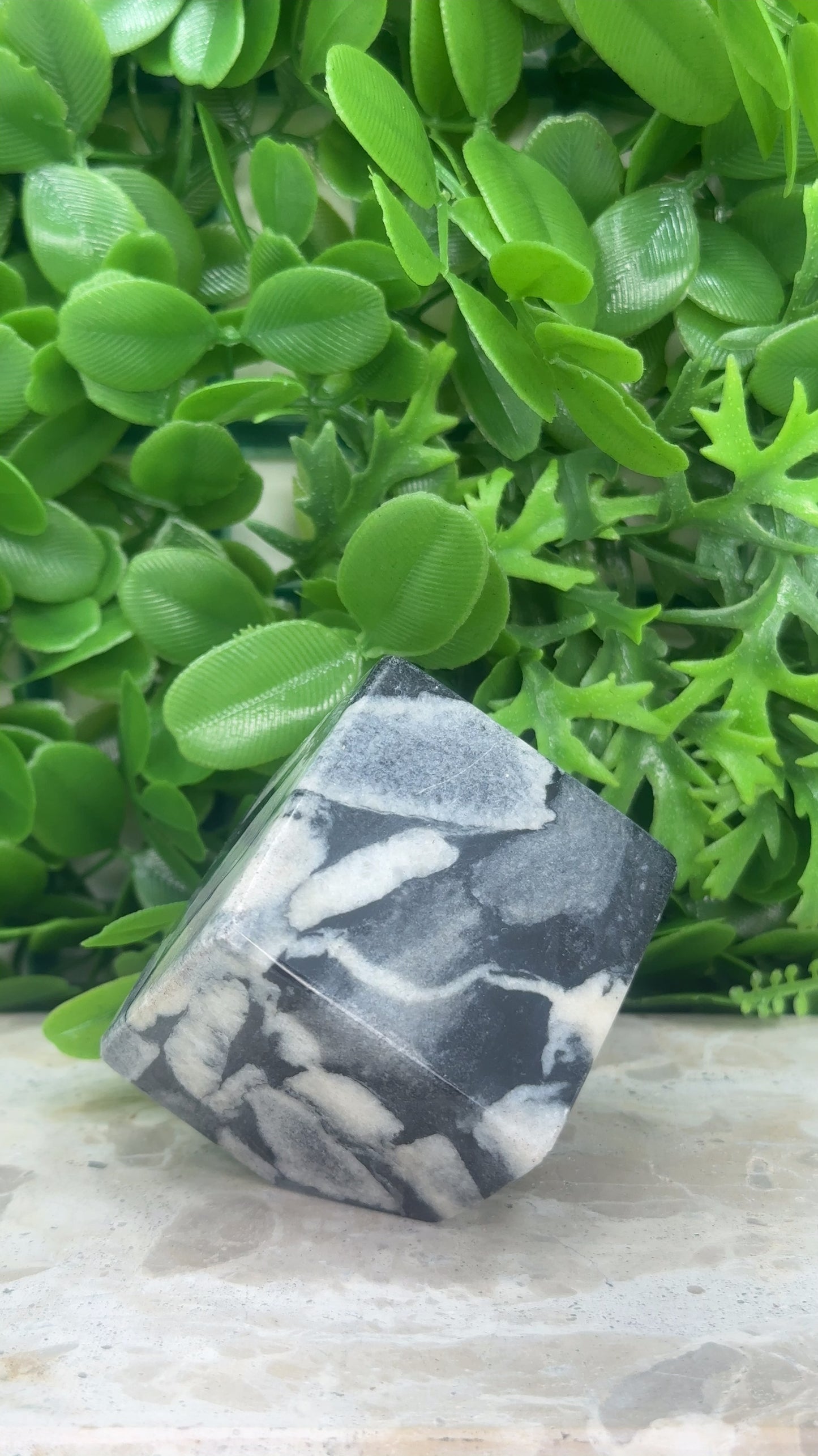 Shell Jasper Cube 320g