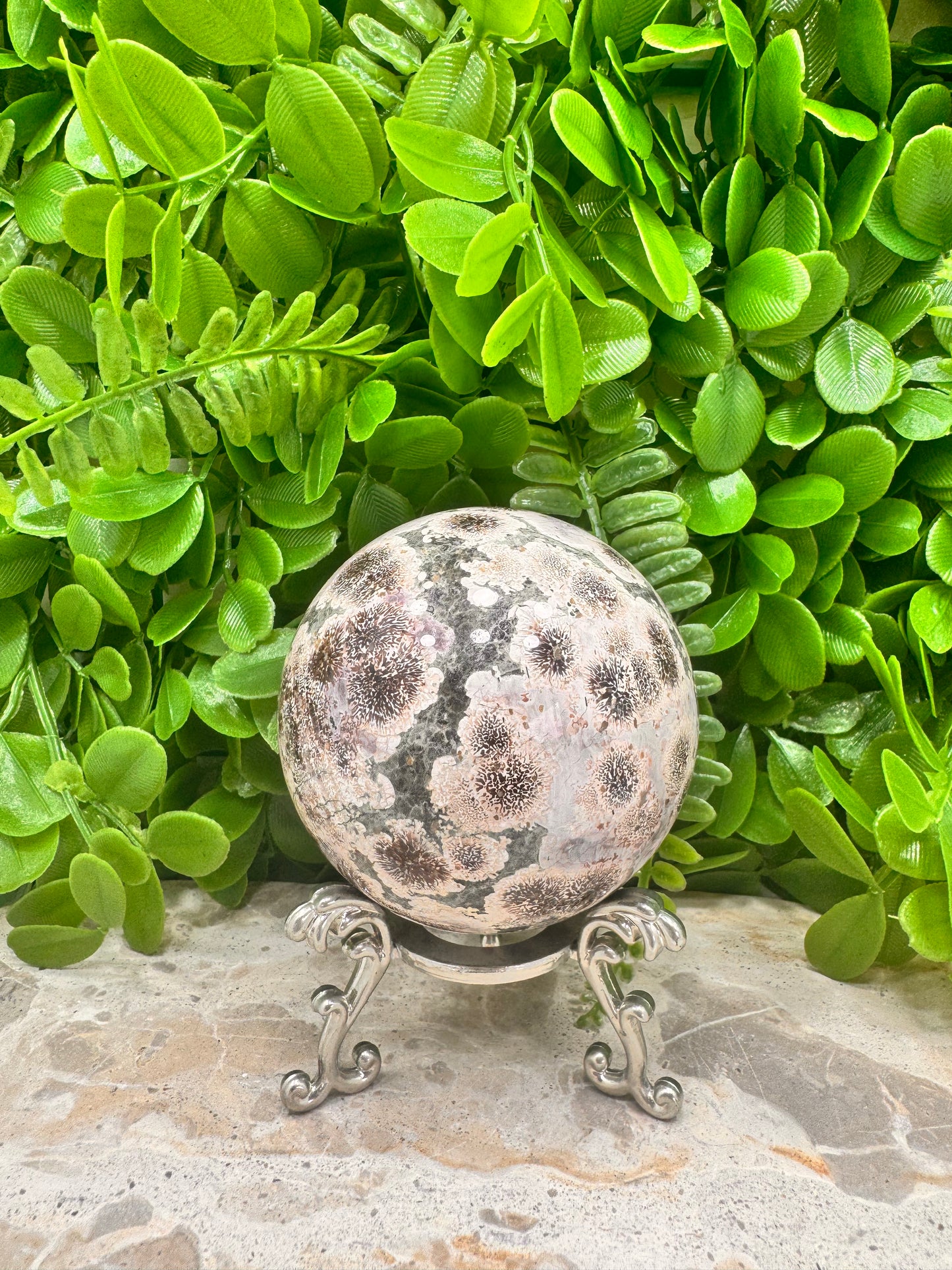 Russian Flower Agate Sphere 559g