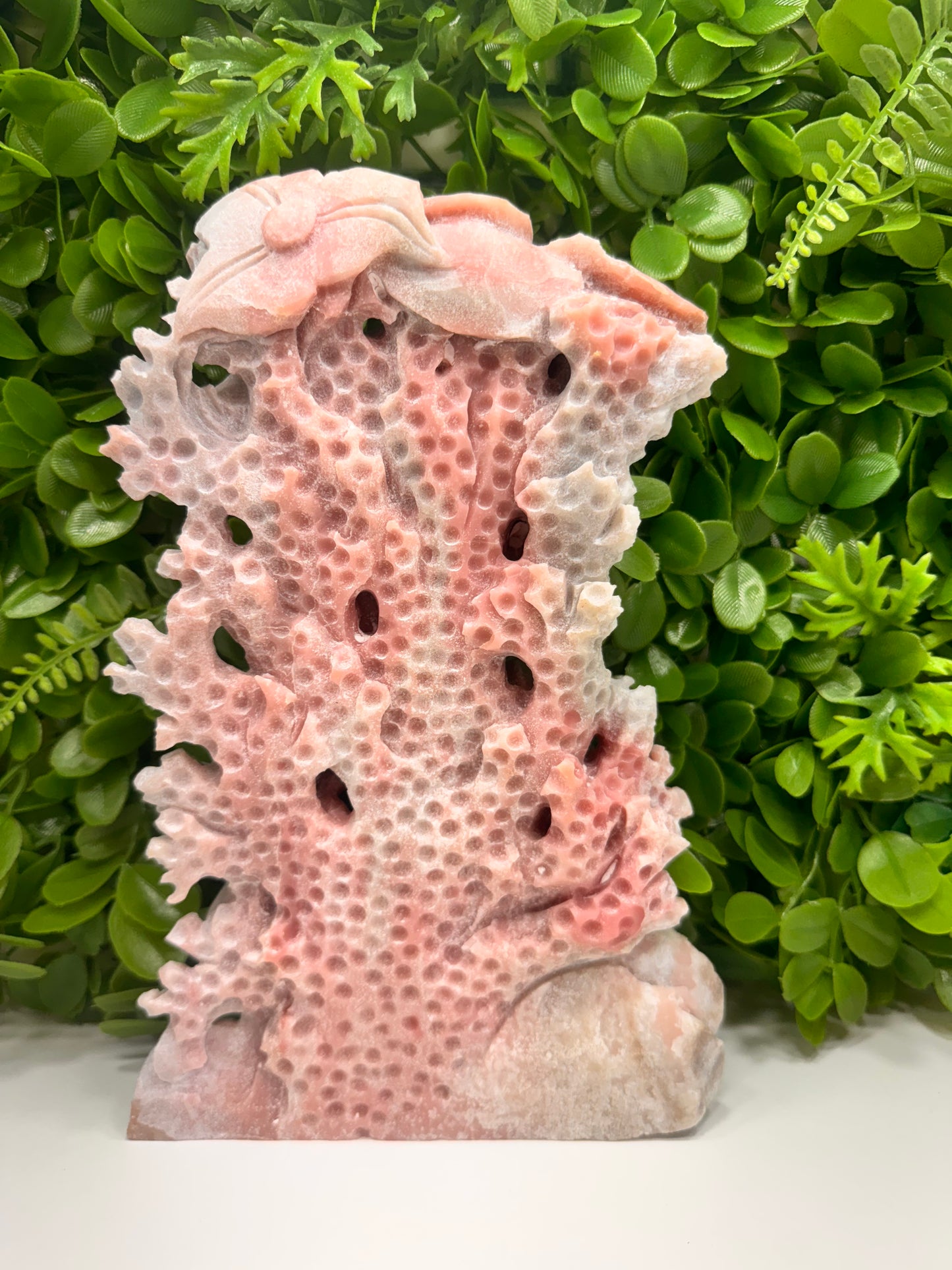 Pink Opal Sea Life 2142g