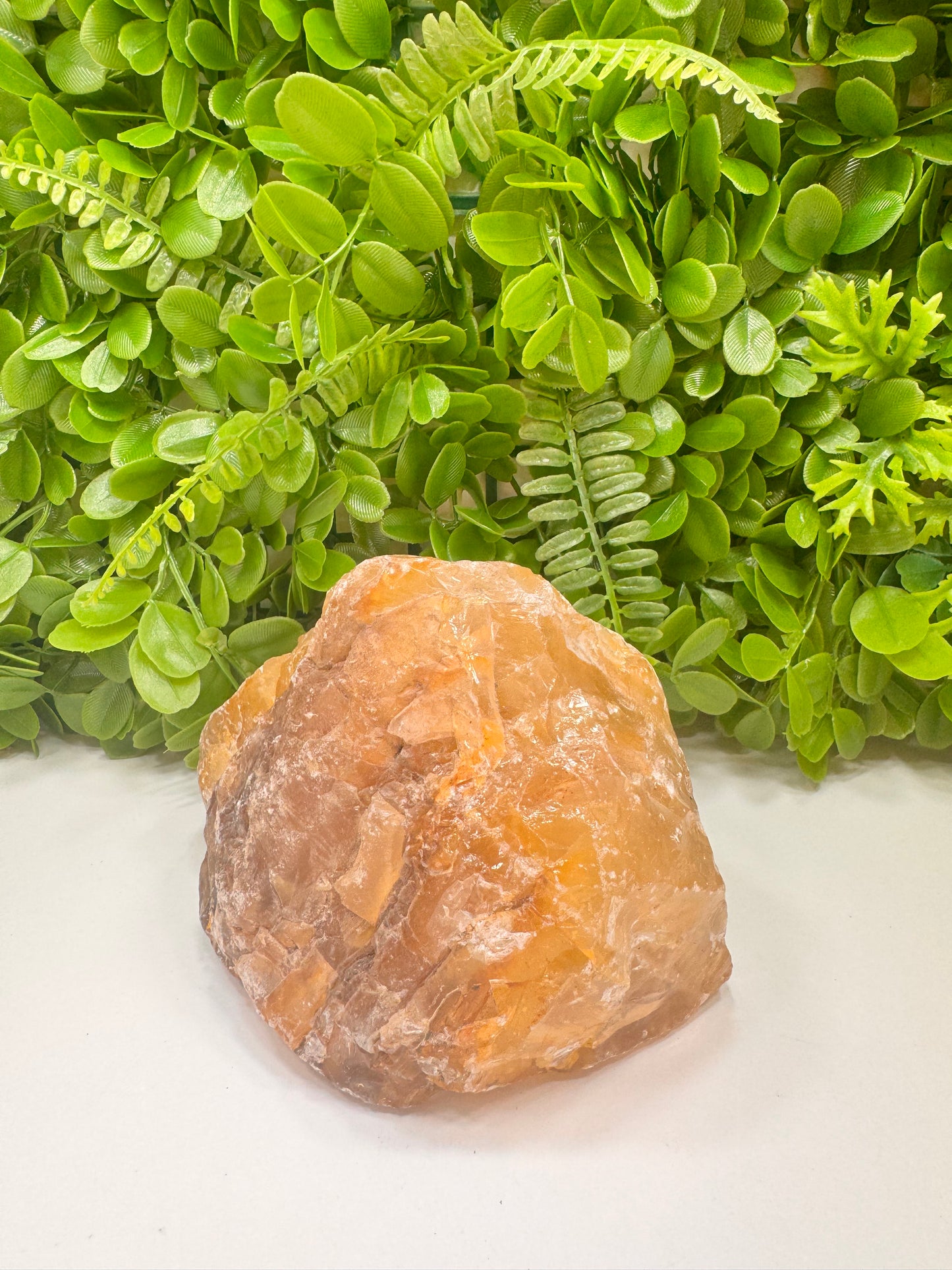 Golden Healer Raw 2680g