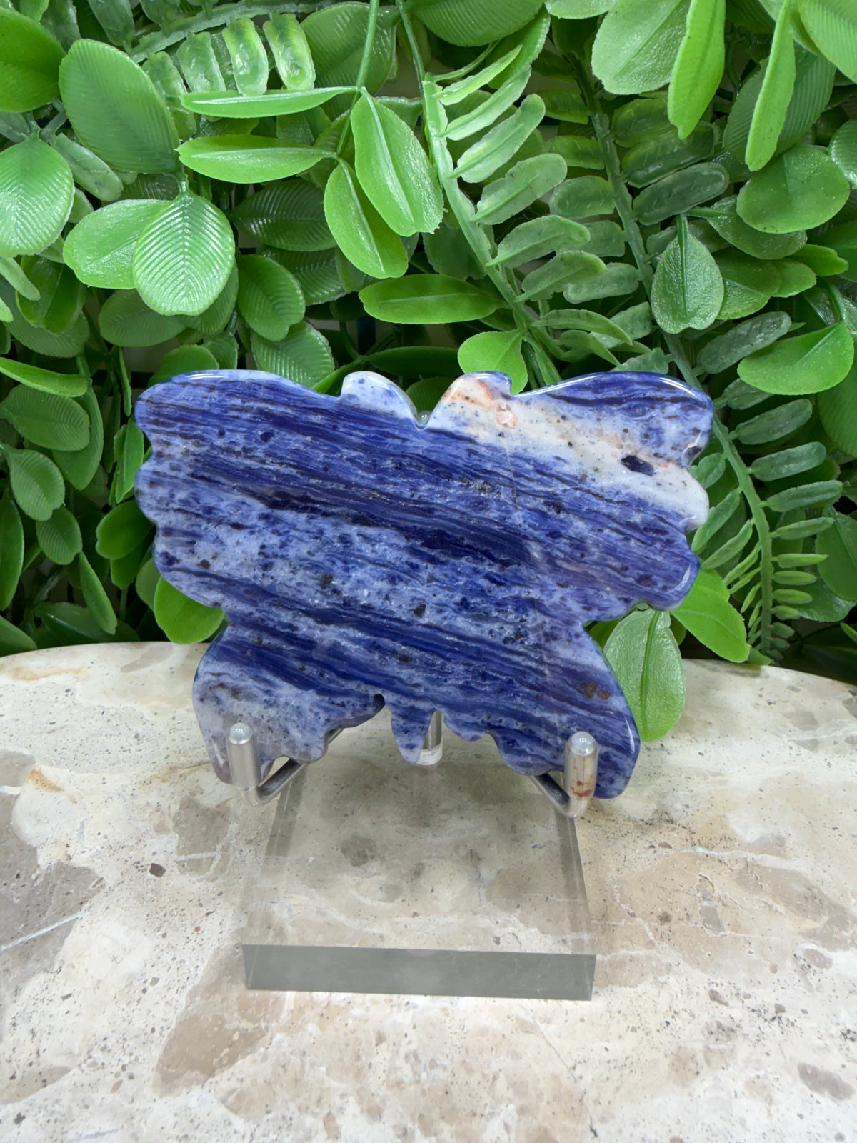 Sodalite Butterfly | Intuition • Communication • Clarity