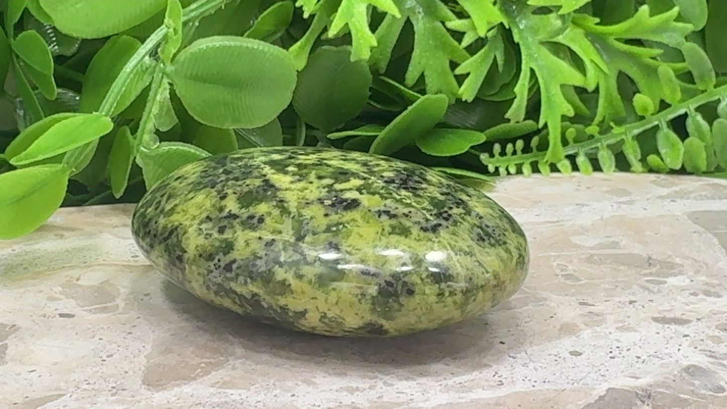 Mixed Serpentine Palm Stone 144g