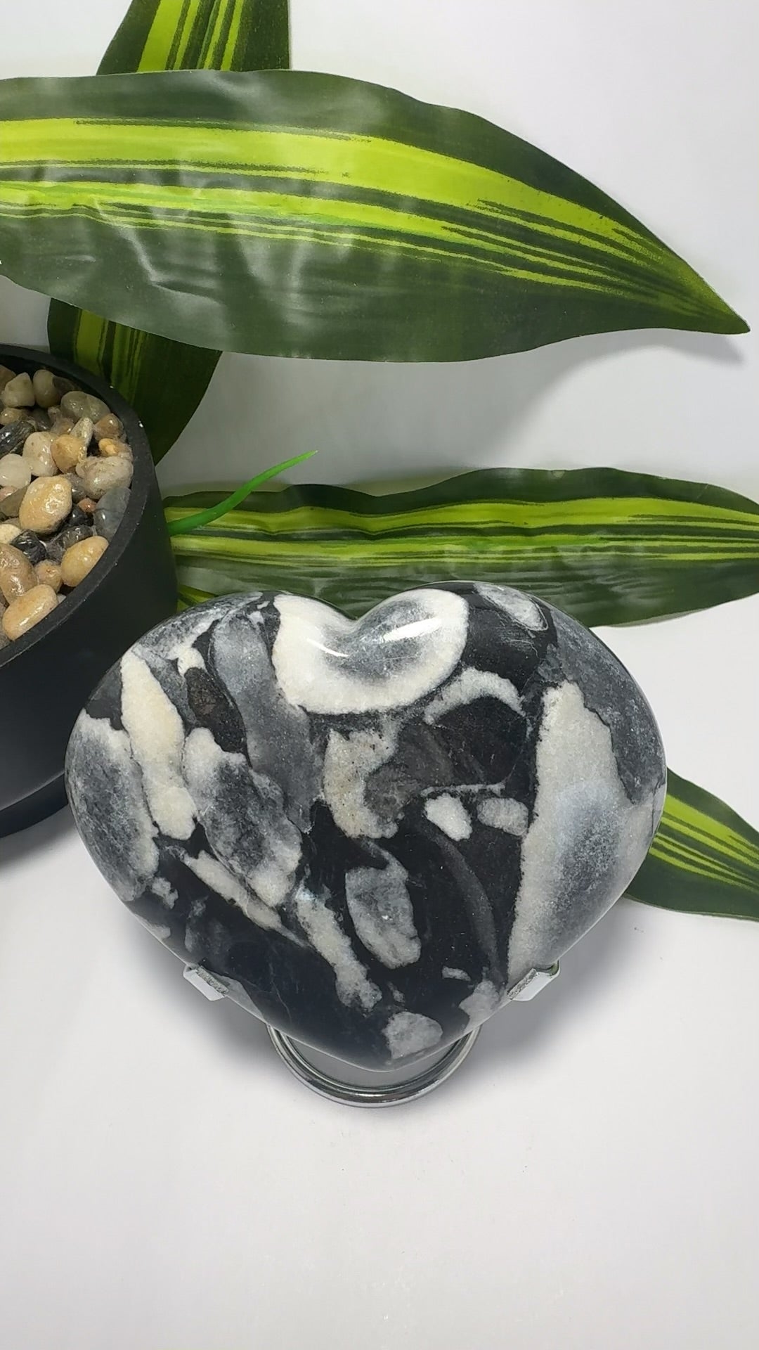 Shell Jasper Heart 738g