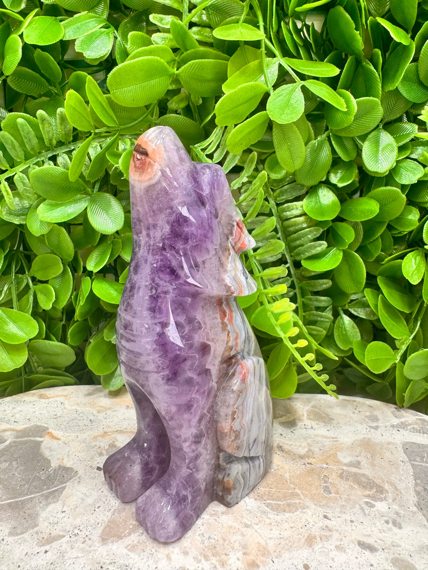 Amethyst Mexican Agate Wolf 498g