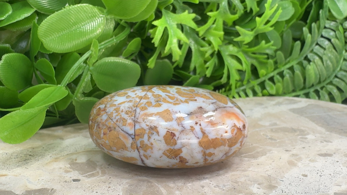 Jasper Agate Palm Stone 130g