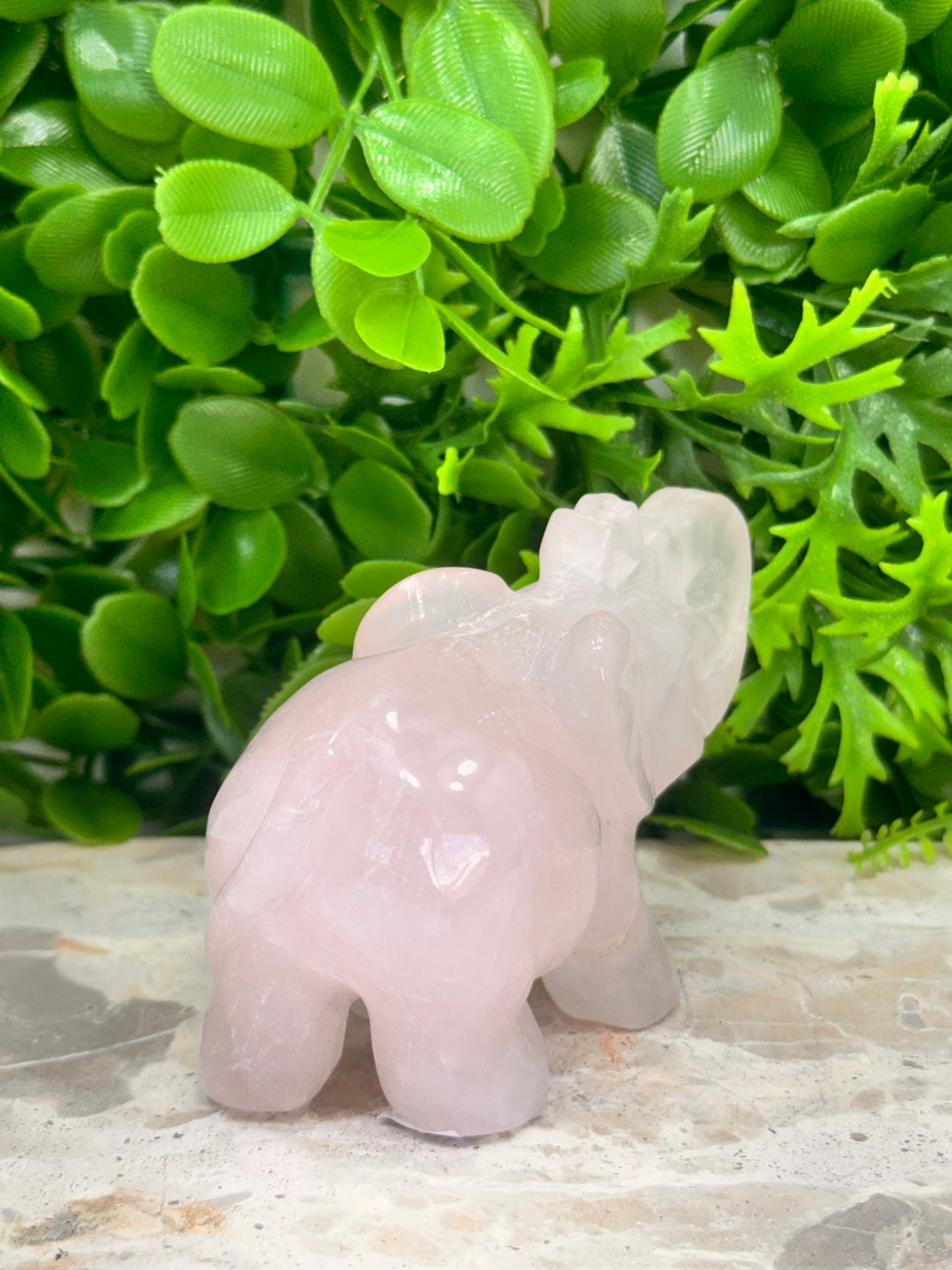 Rose Quartz Elephant 312g