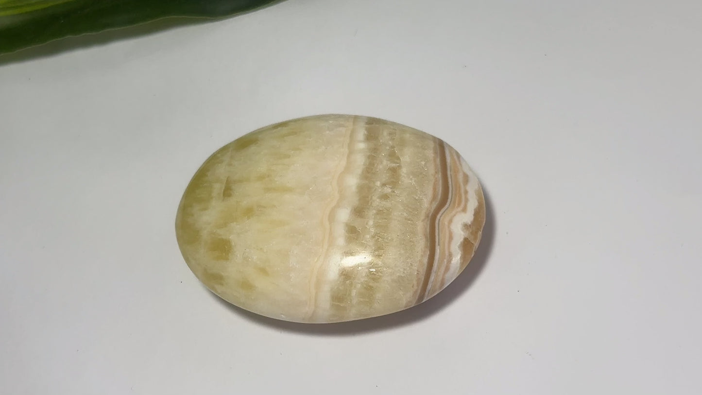 Pineapple Calcite Palm 100g