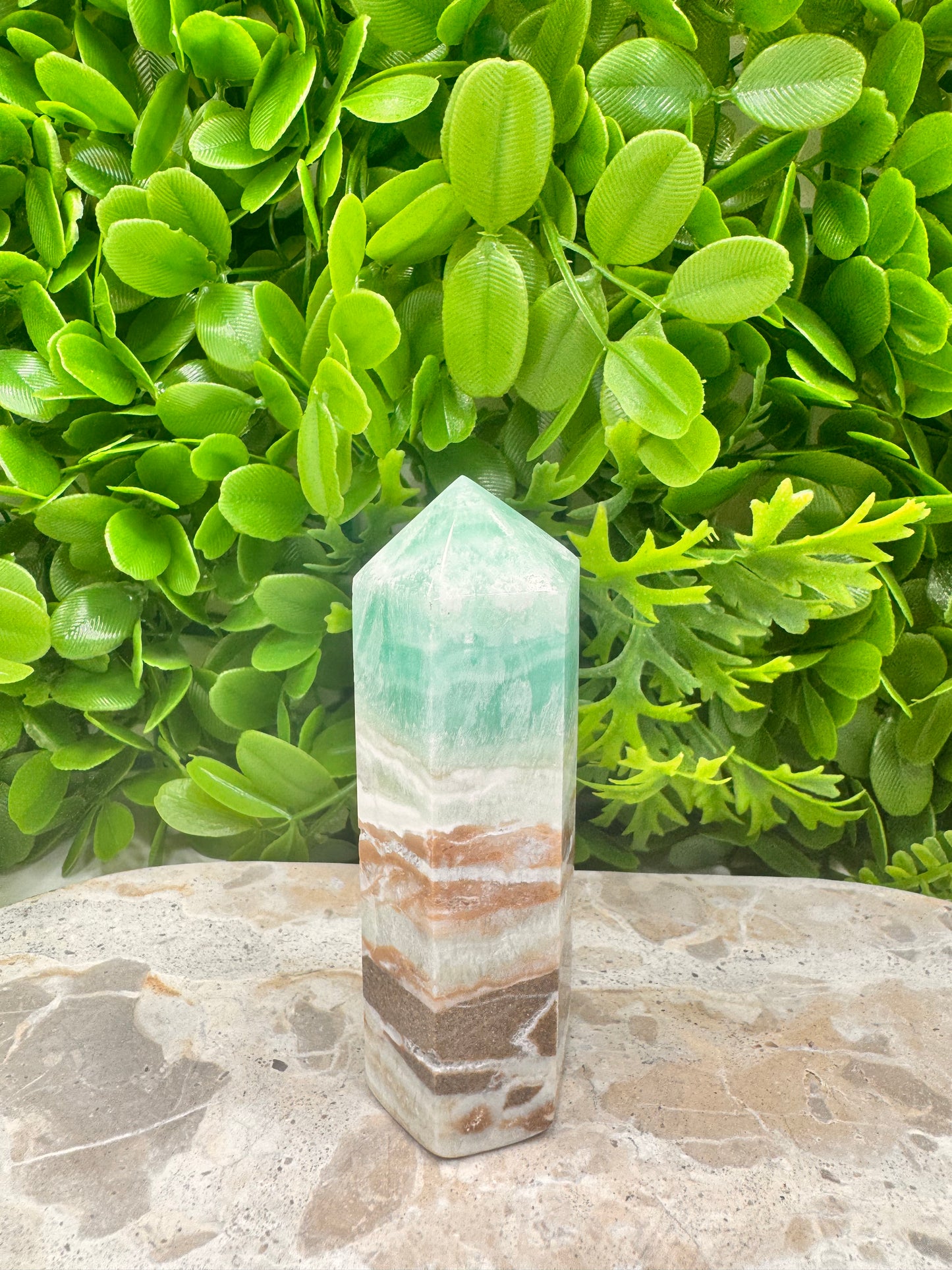 Aragonite PT 214g