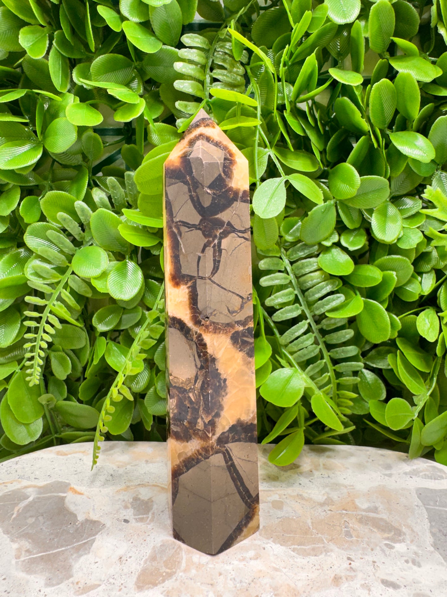Septarian Dragon Stone Tower 343g