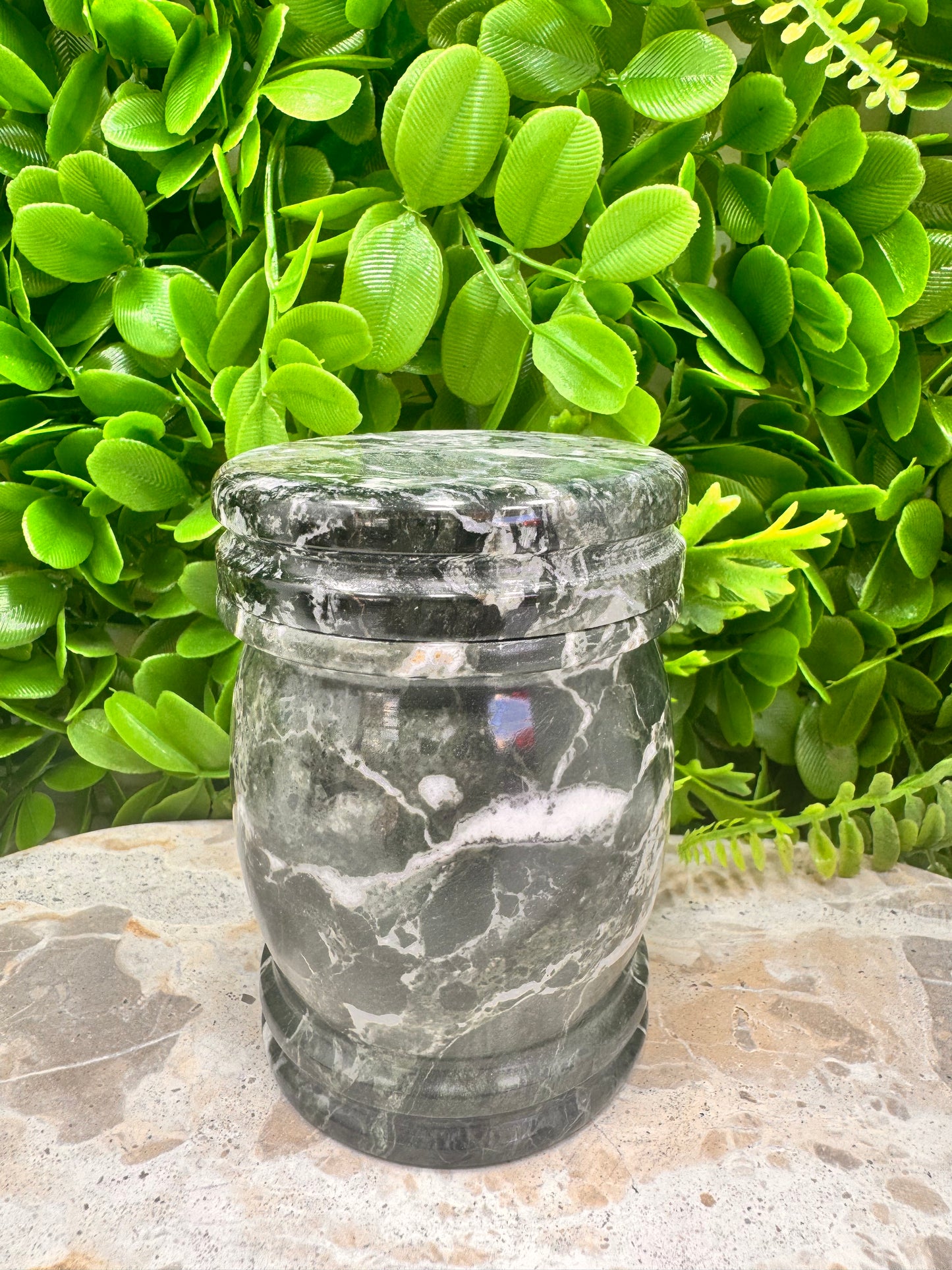 Black Zebra Jasper Jar with lid 512g