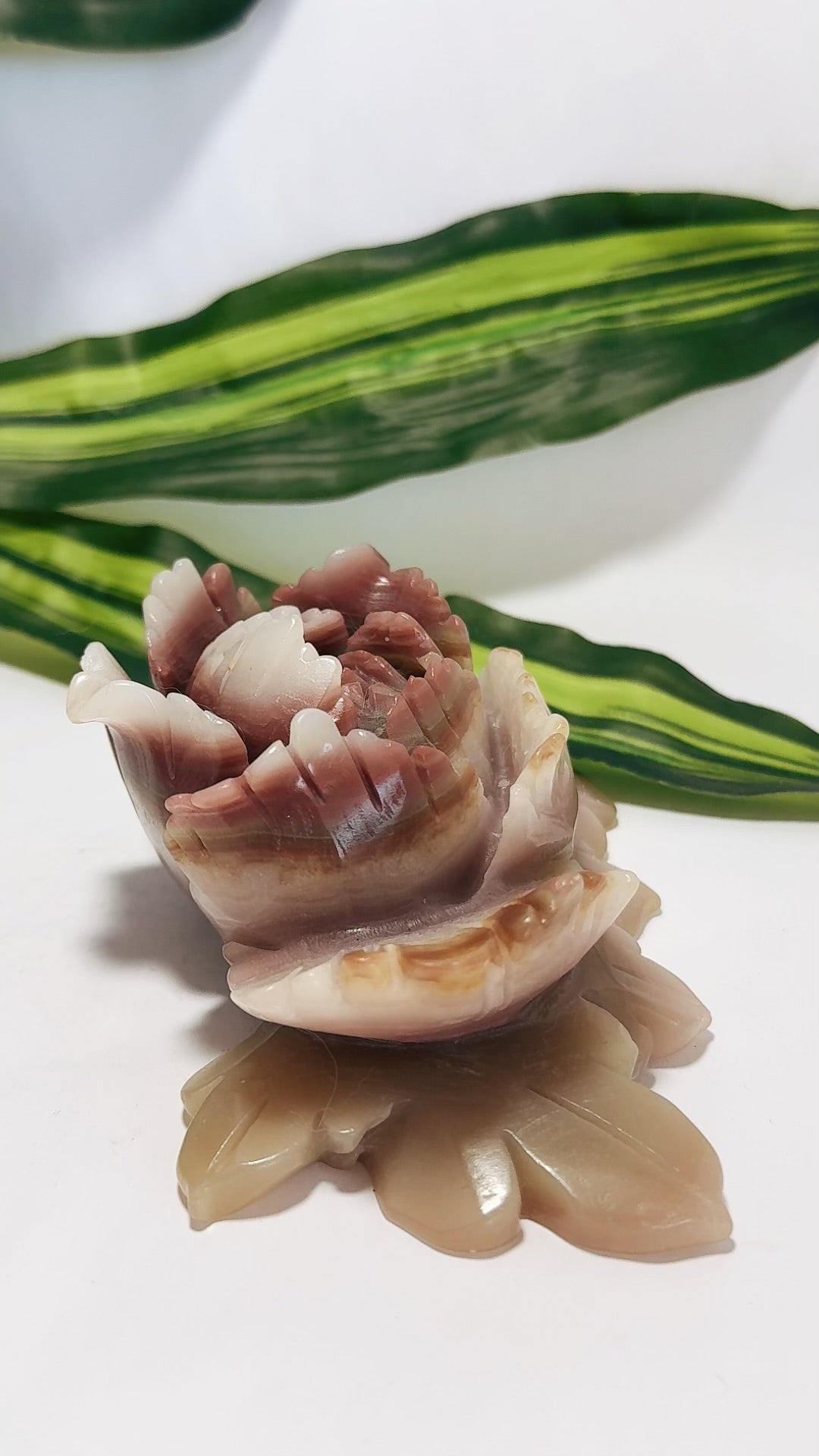 Pink Pistachio Calcite Rose 552g