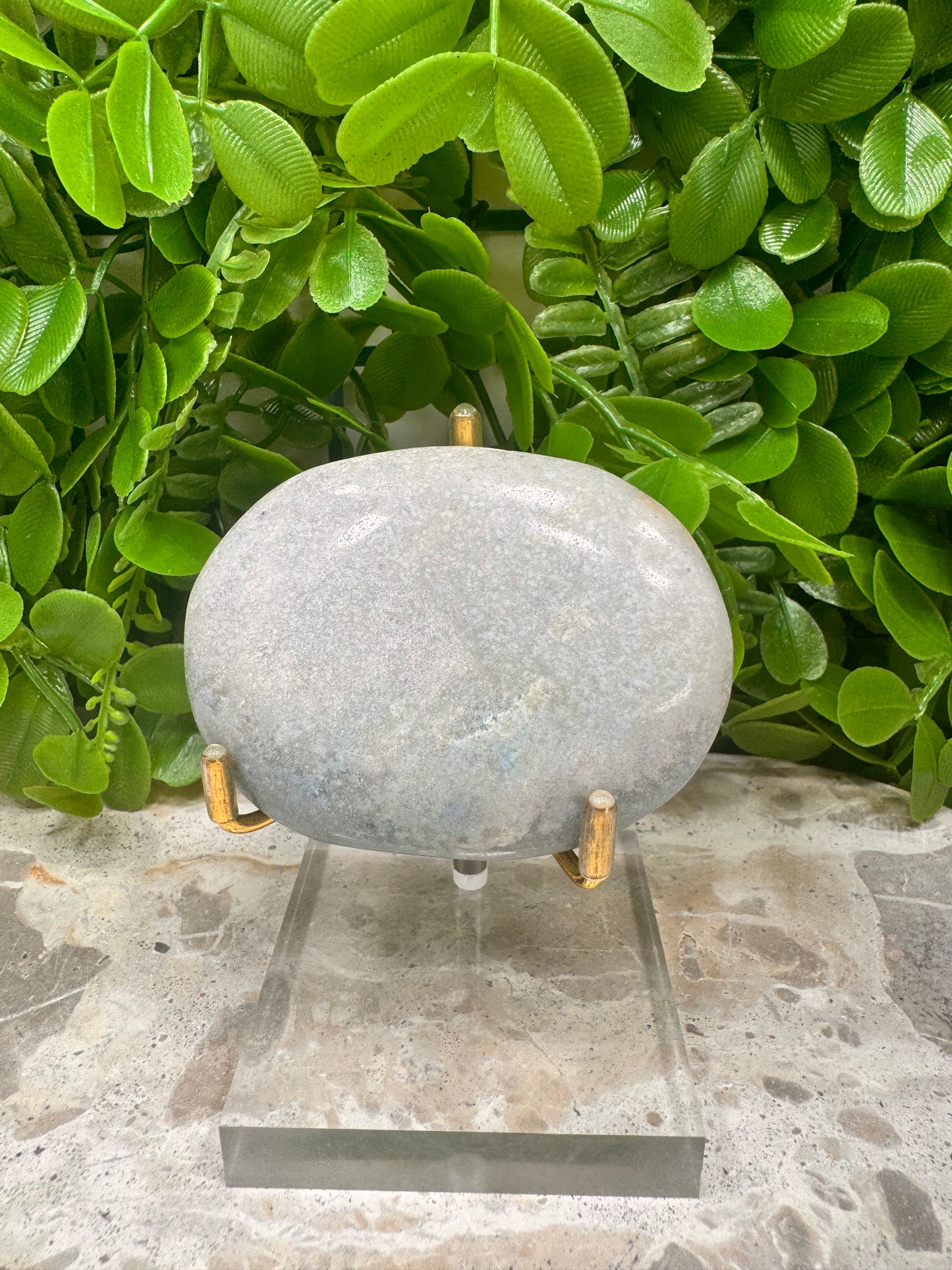 Trolleite Palm Stone 166g
