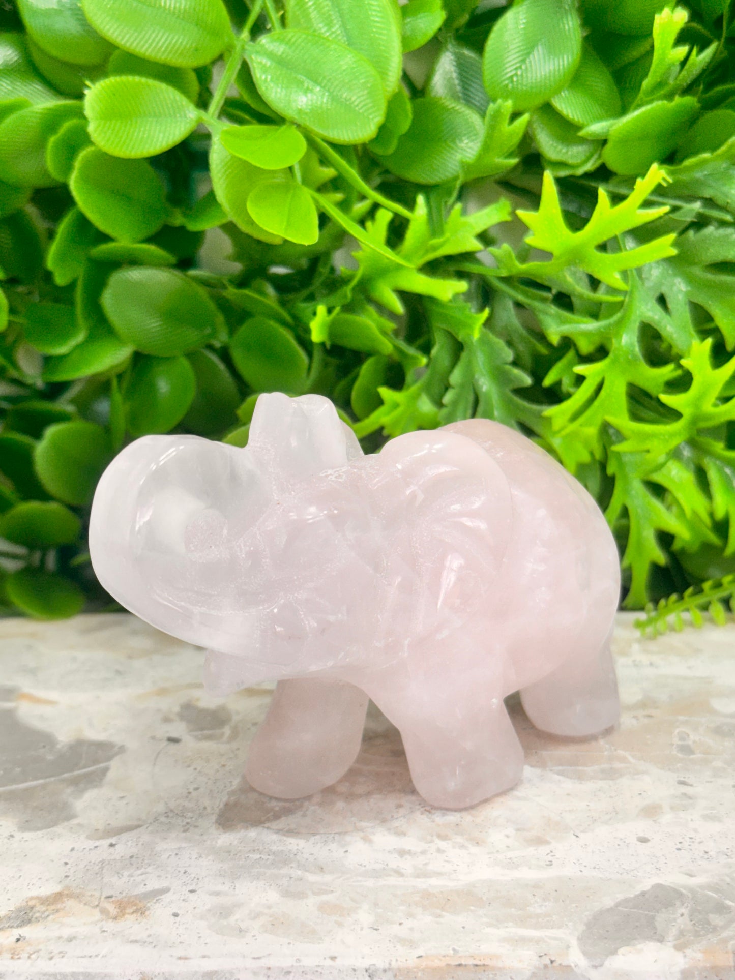 Rose Quartz Elephant 312g