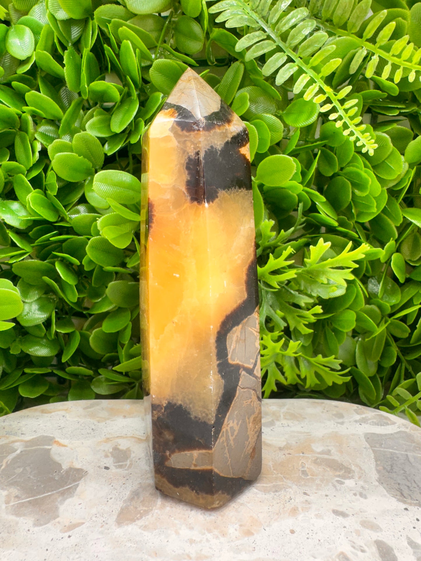 Septarian Tower 910g