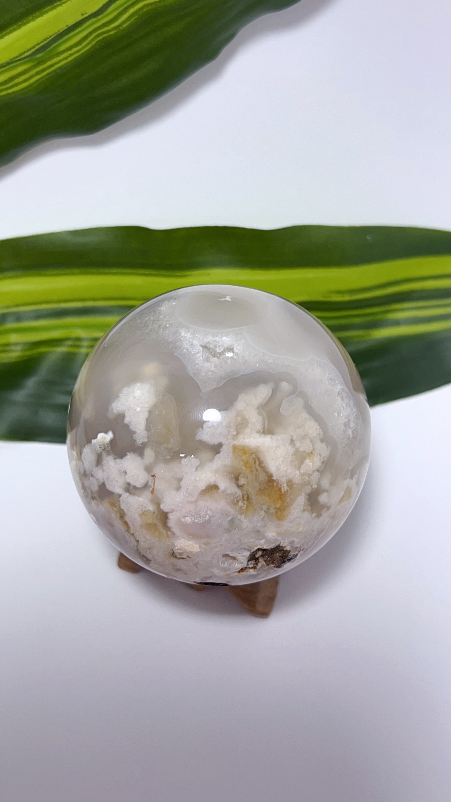 Flower Agate Sphere 346g