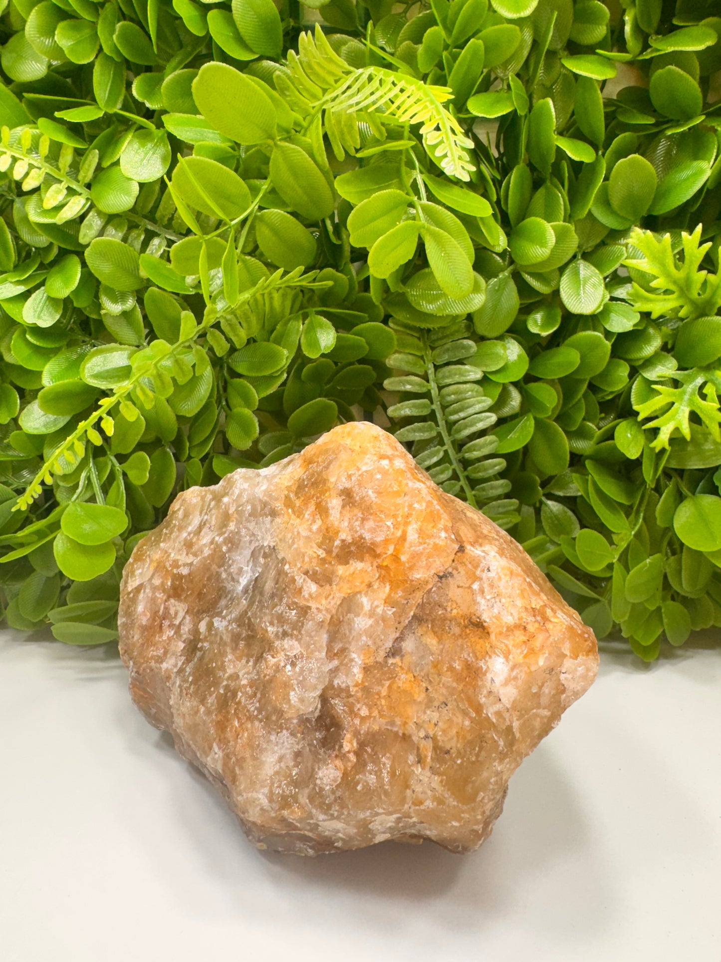 Golden Healer Raw 2060g
