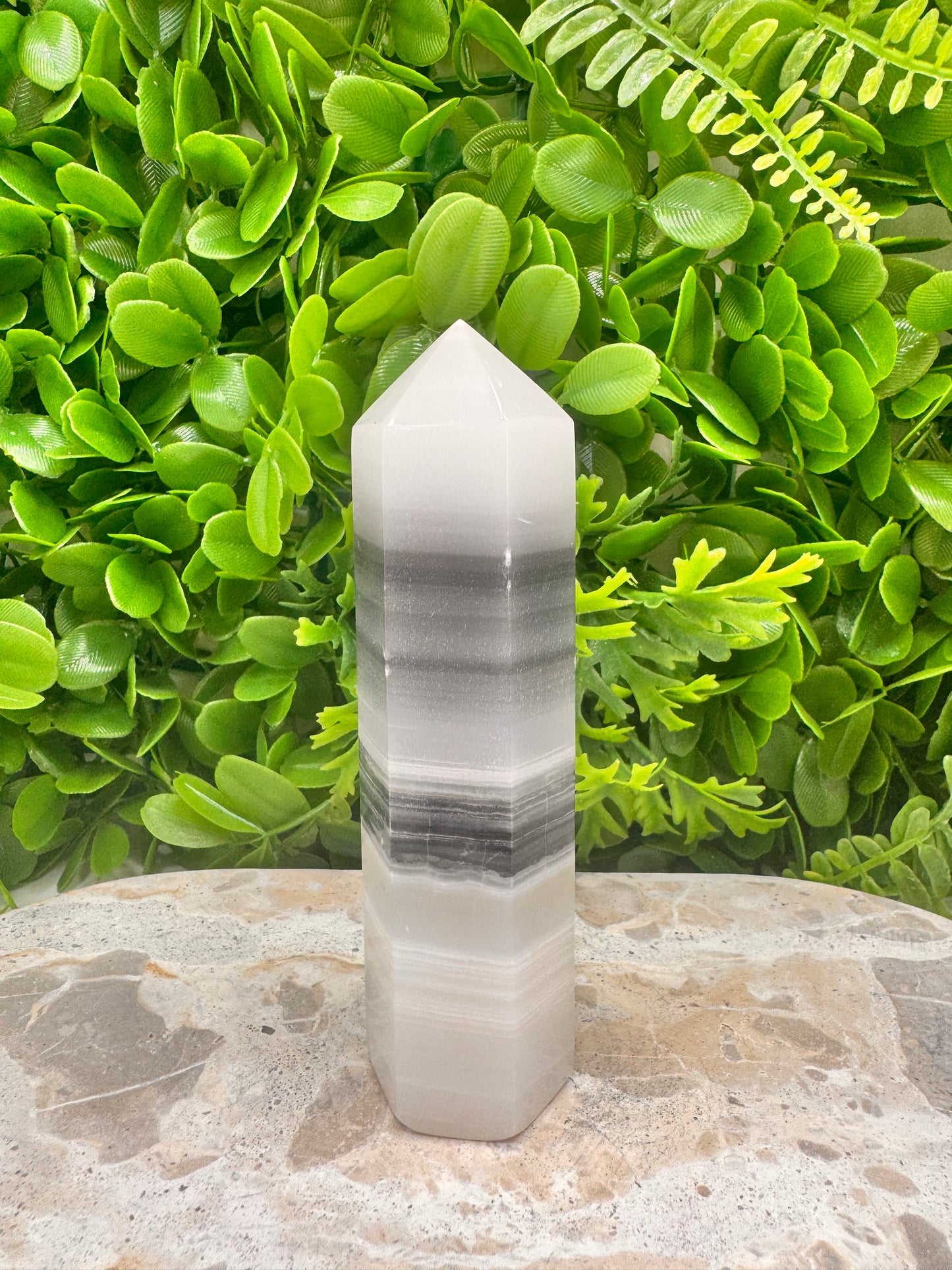 Black and White Tower 318g