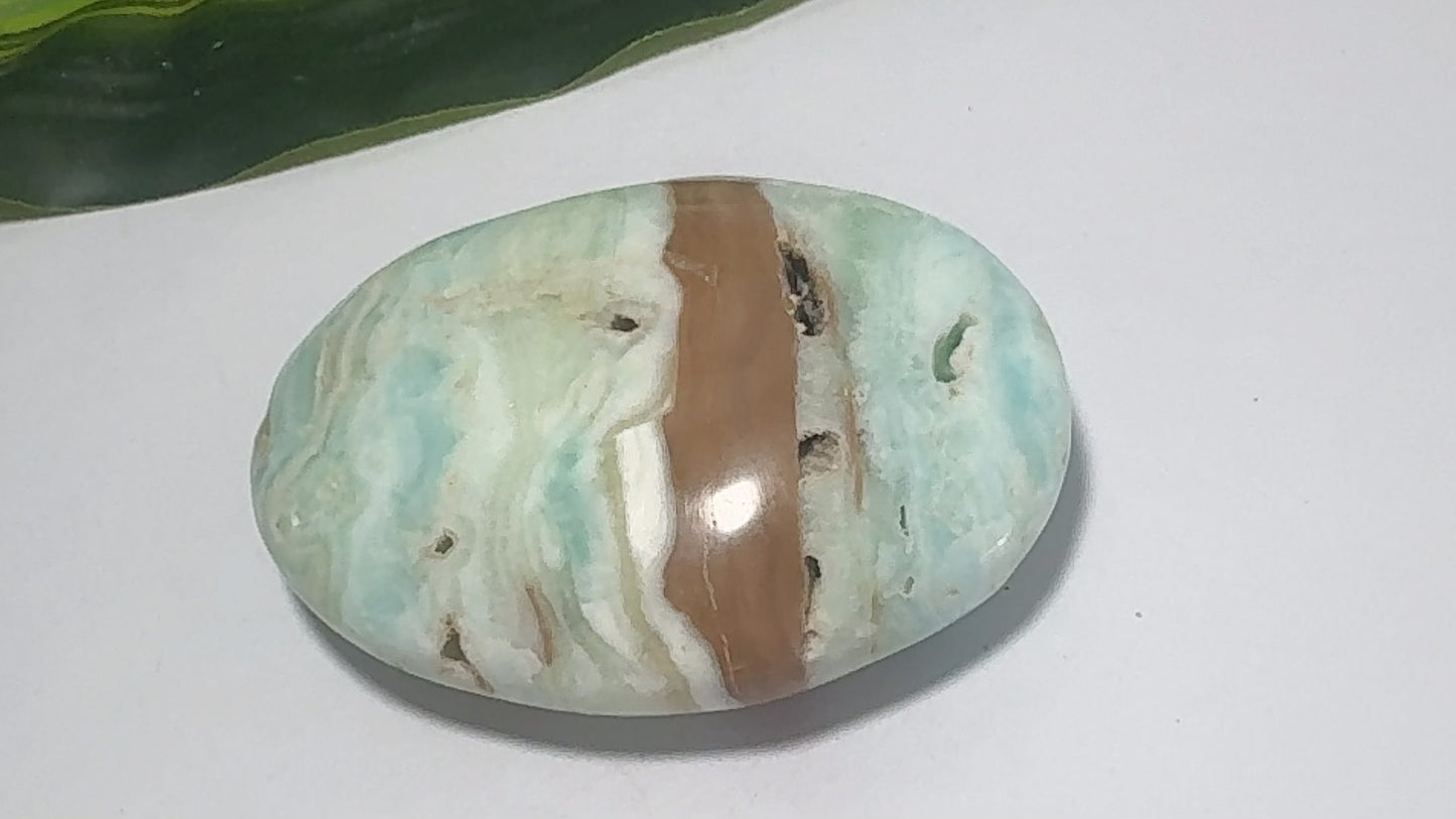 Blue Caribbean Calcite Palm Stone 126g