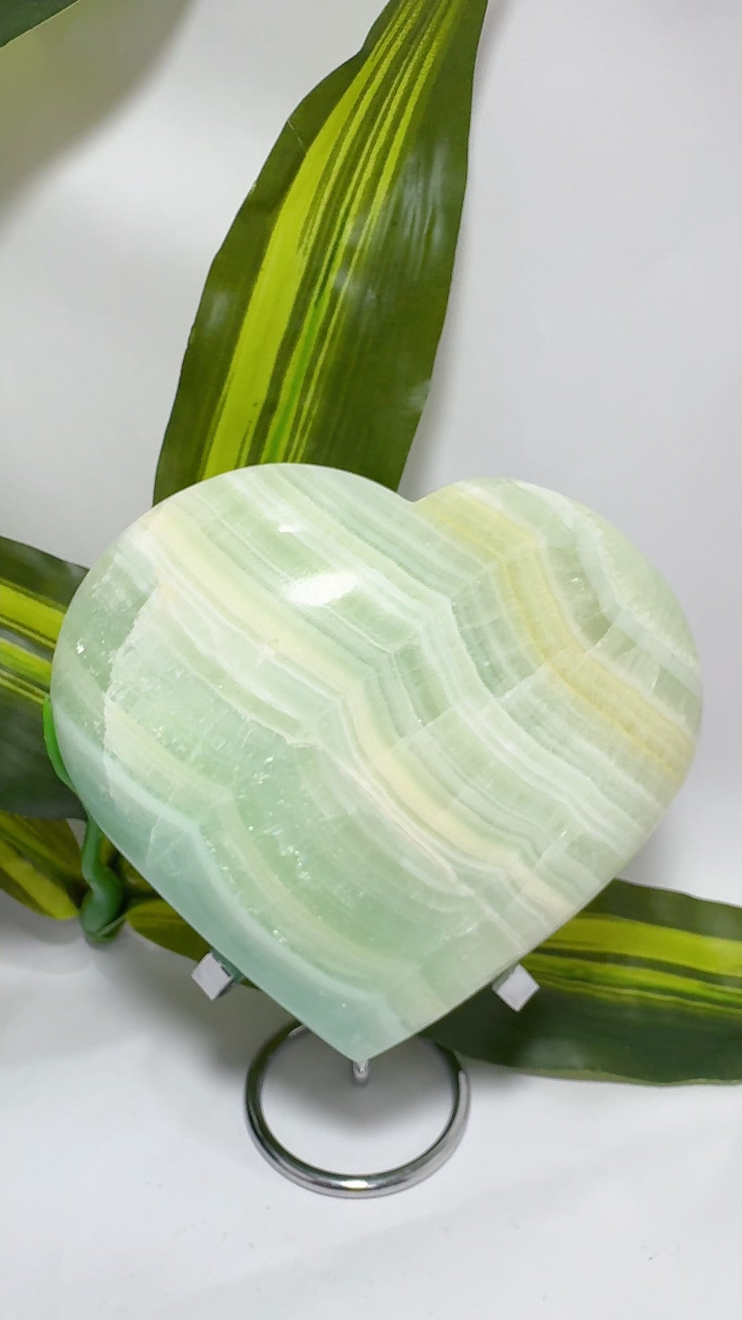 Pistachio Heart 1.8kg