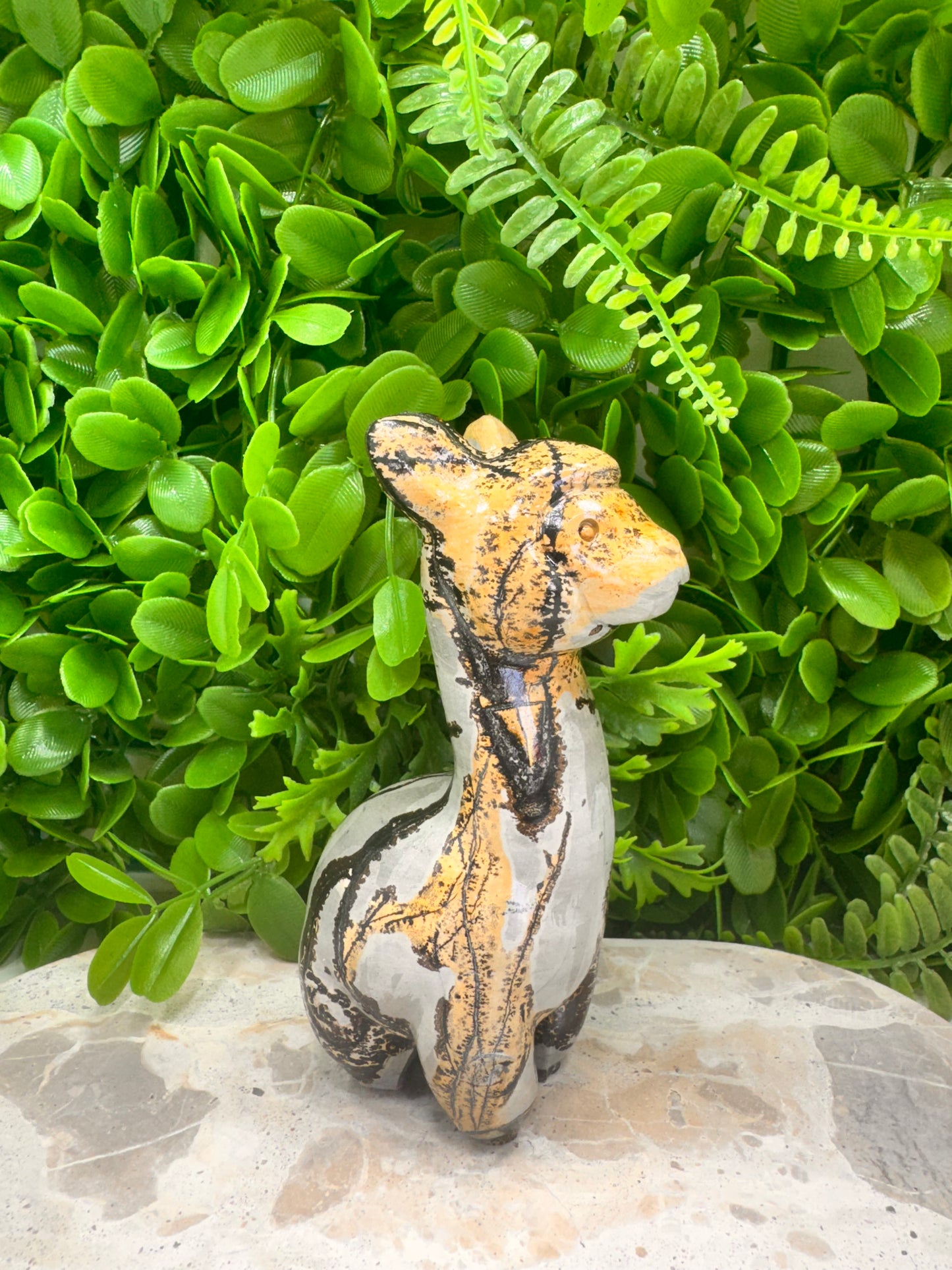 Picture Jasper Llama 583g