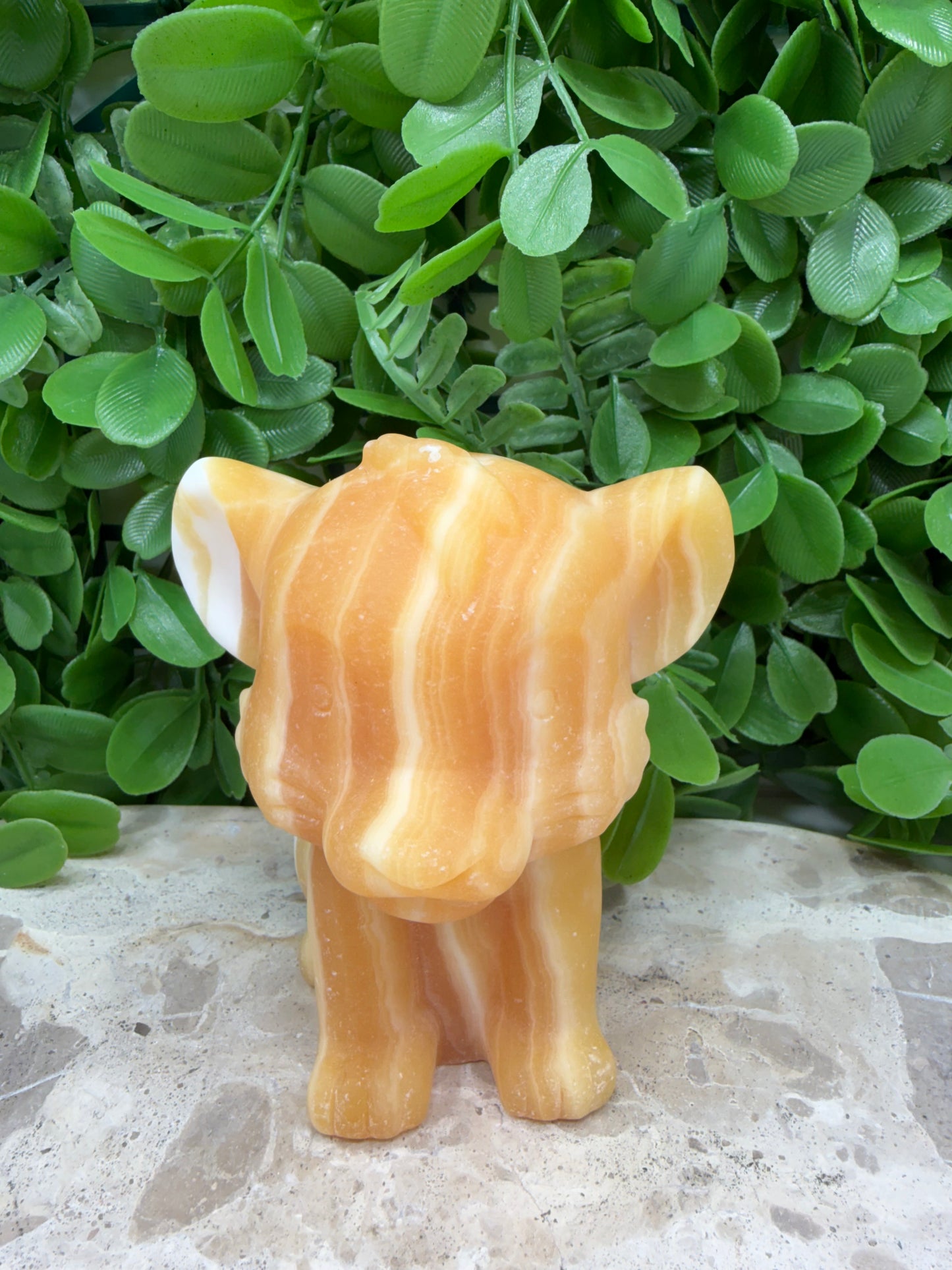 Orange Banded Calcite Lion Cub 554g