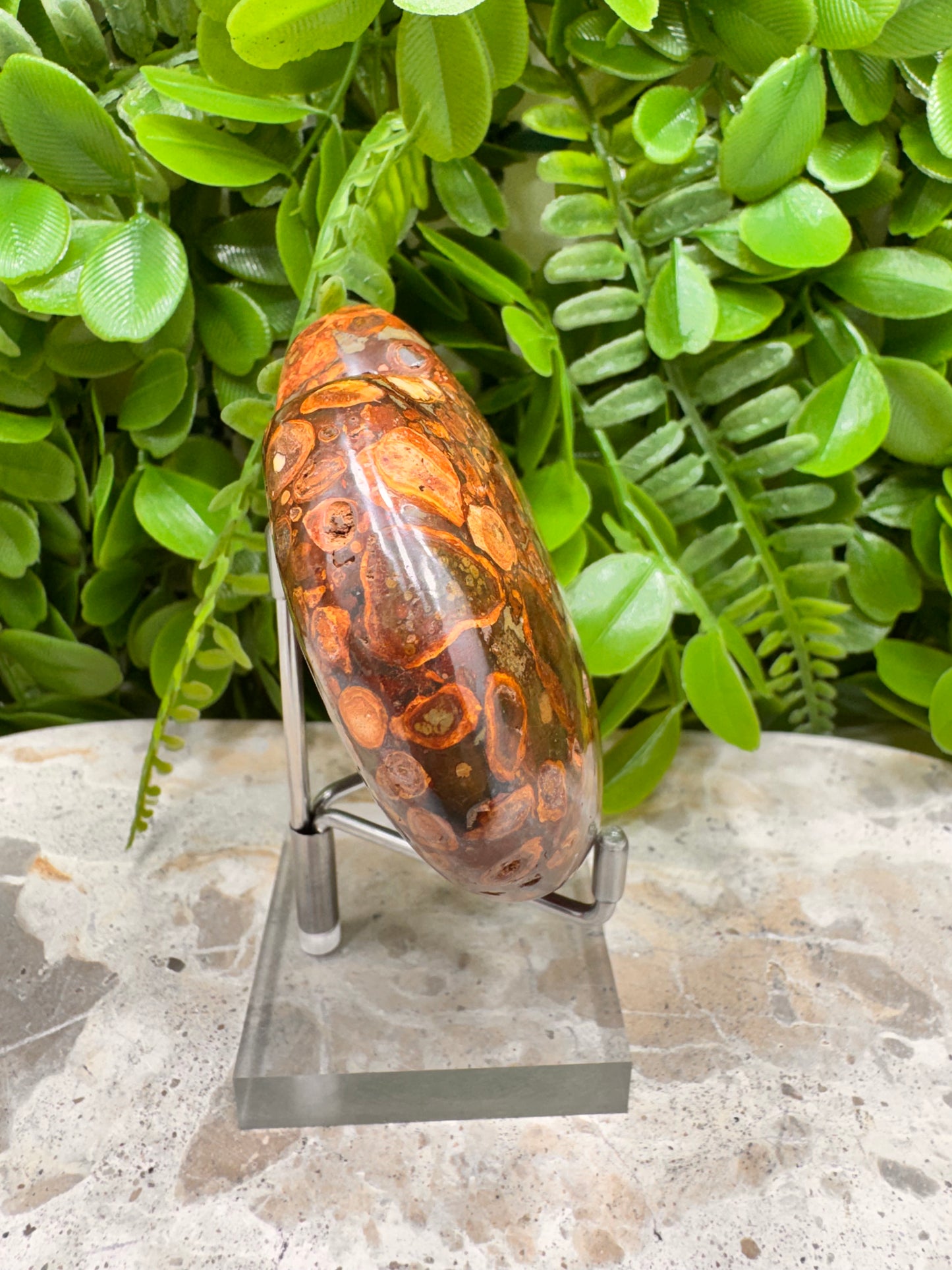 Coral Fossil Japser Heart 256g