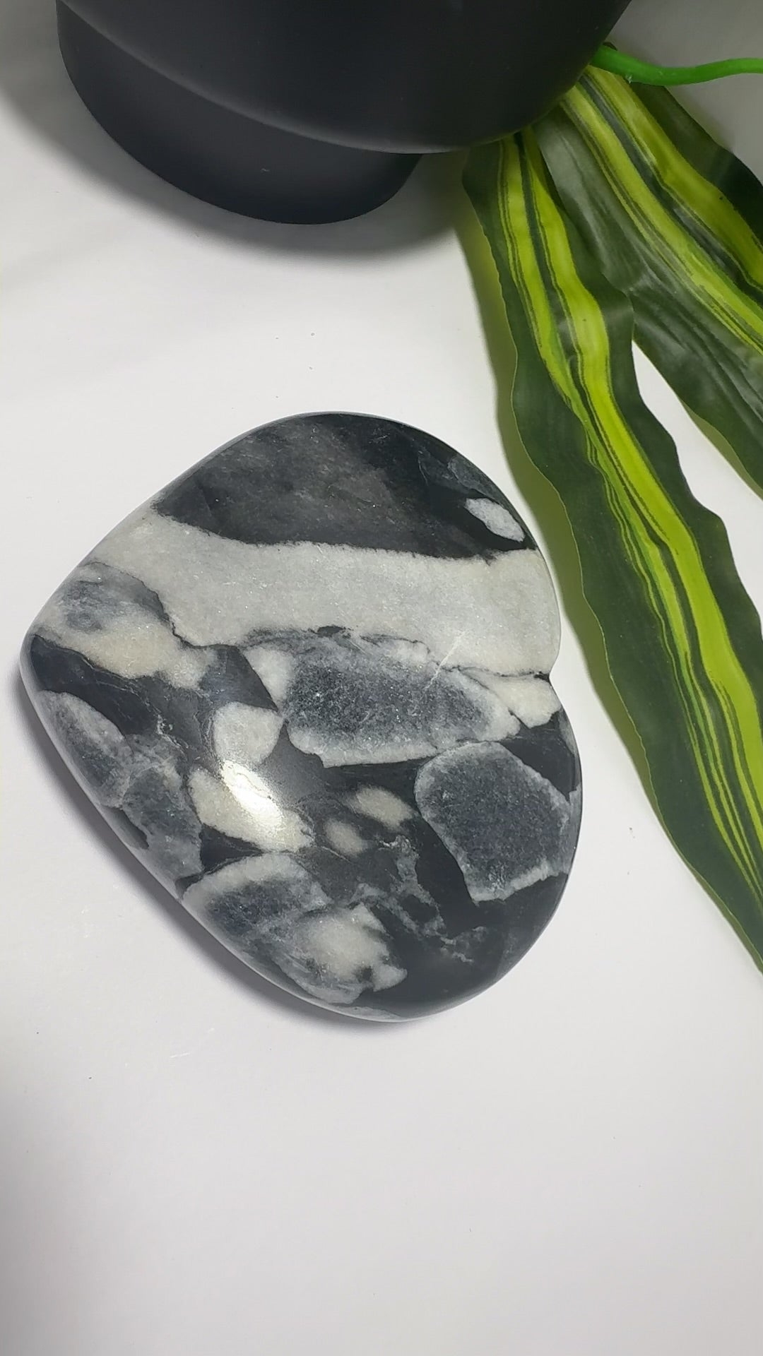 Shell Jasper Heart 738g