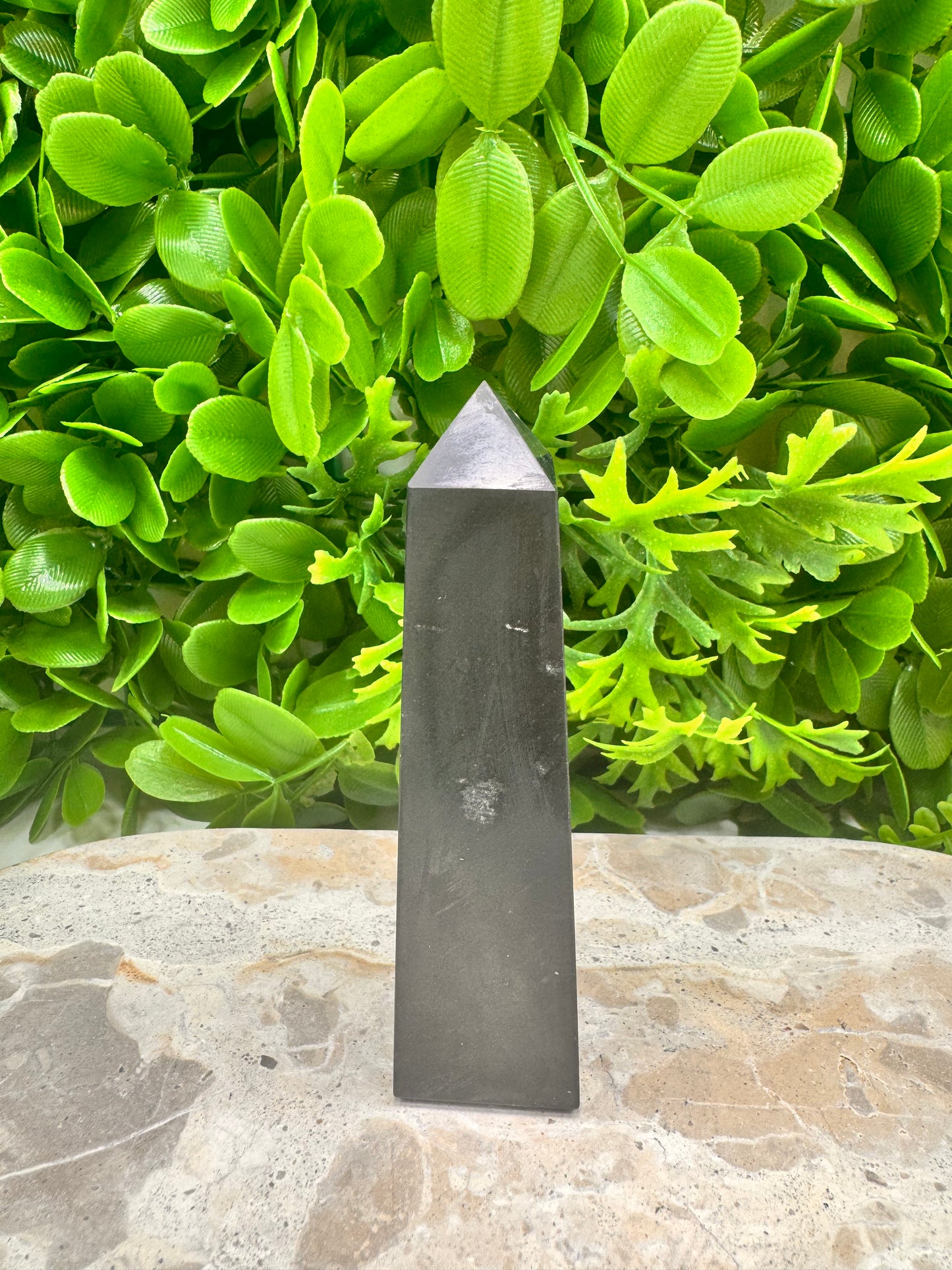 Shungite Pt 116g