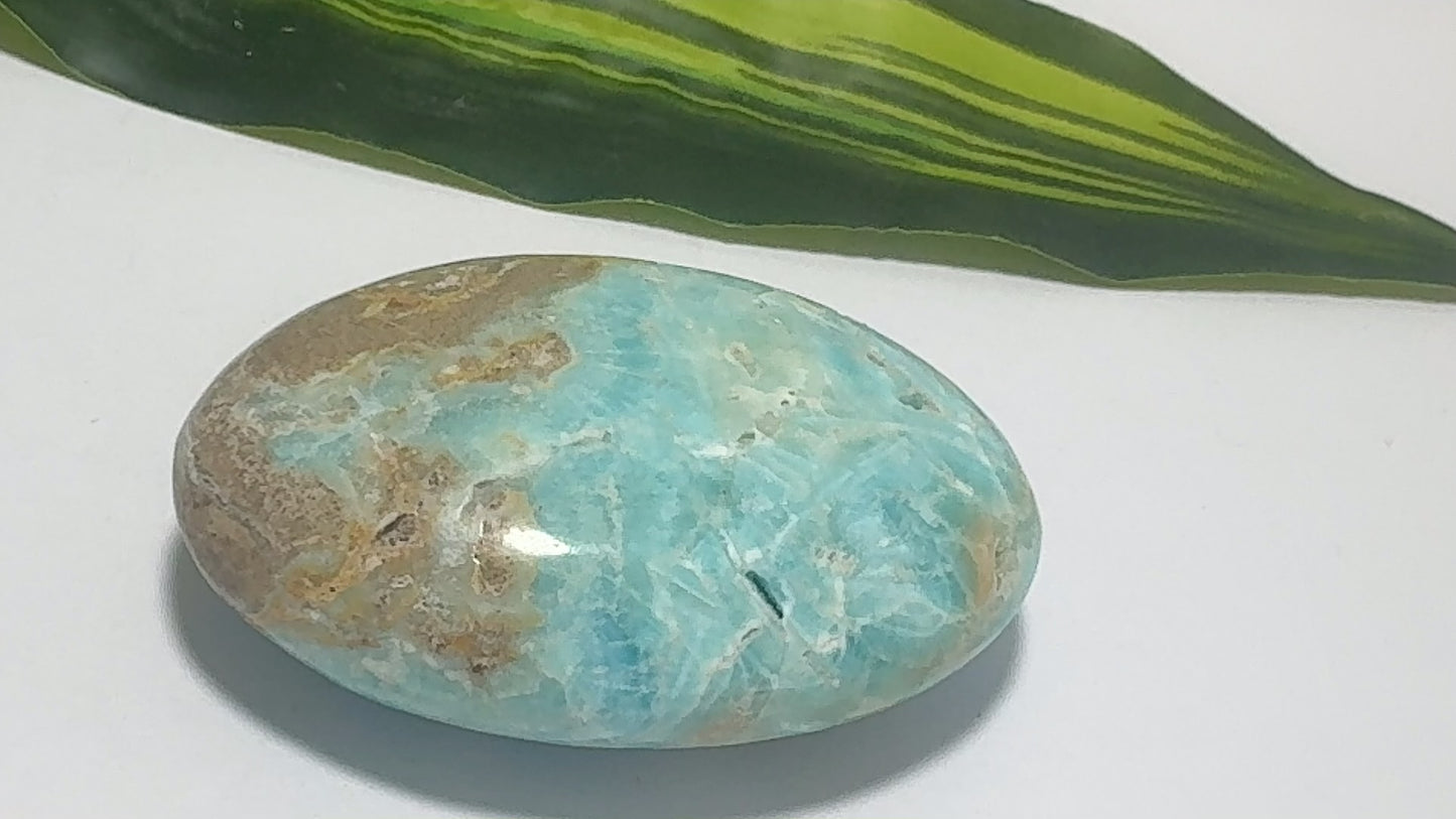 Blue Aragonite Palm Stone 172g