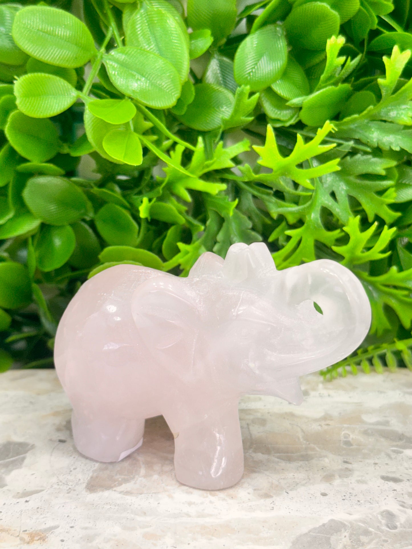 Rose Quartz Elephant 312g