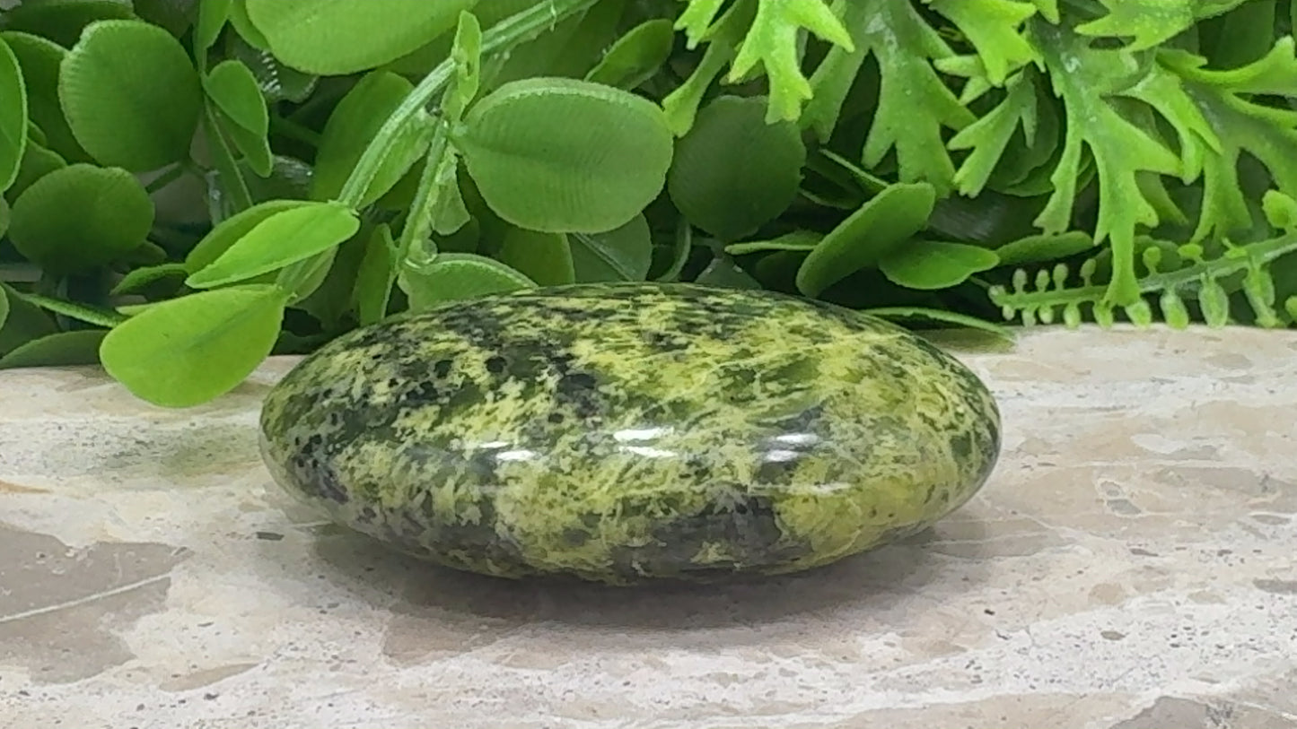 Mixed Serpentine Palm Stone 144g