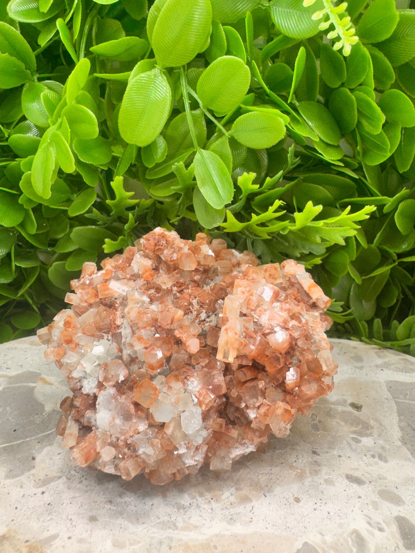 Aragonite Sputnik Freeform 786g
