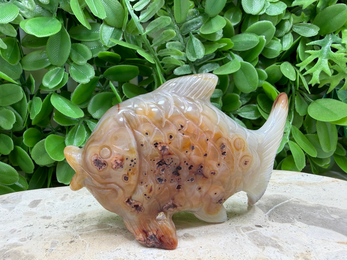 Carnelian Fish 198g | Motivation • Confidence • Creativity