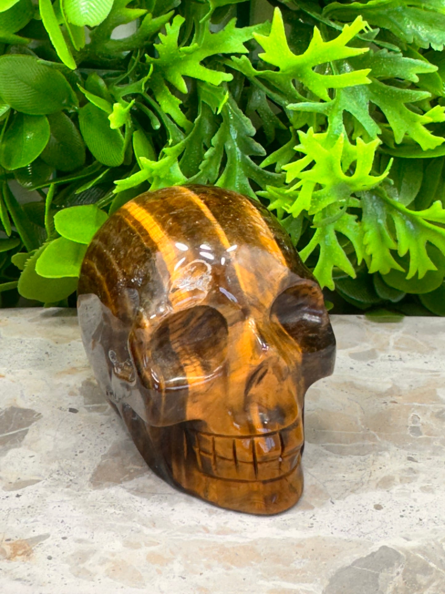 Tiger Eye Skull 386g