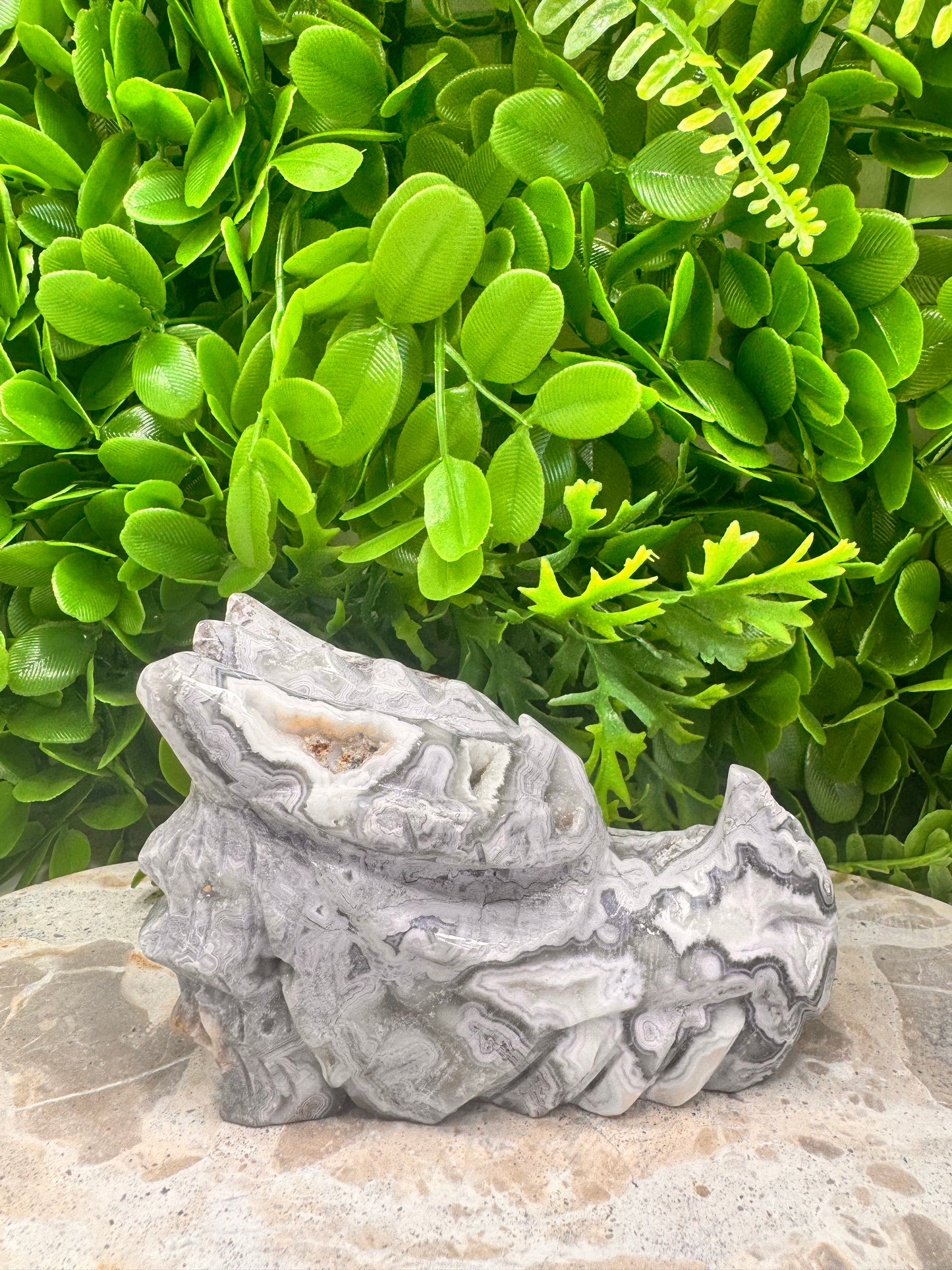 Mexican Agate Druzy Dragon Skull 620g