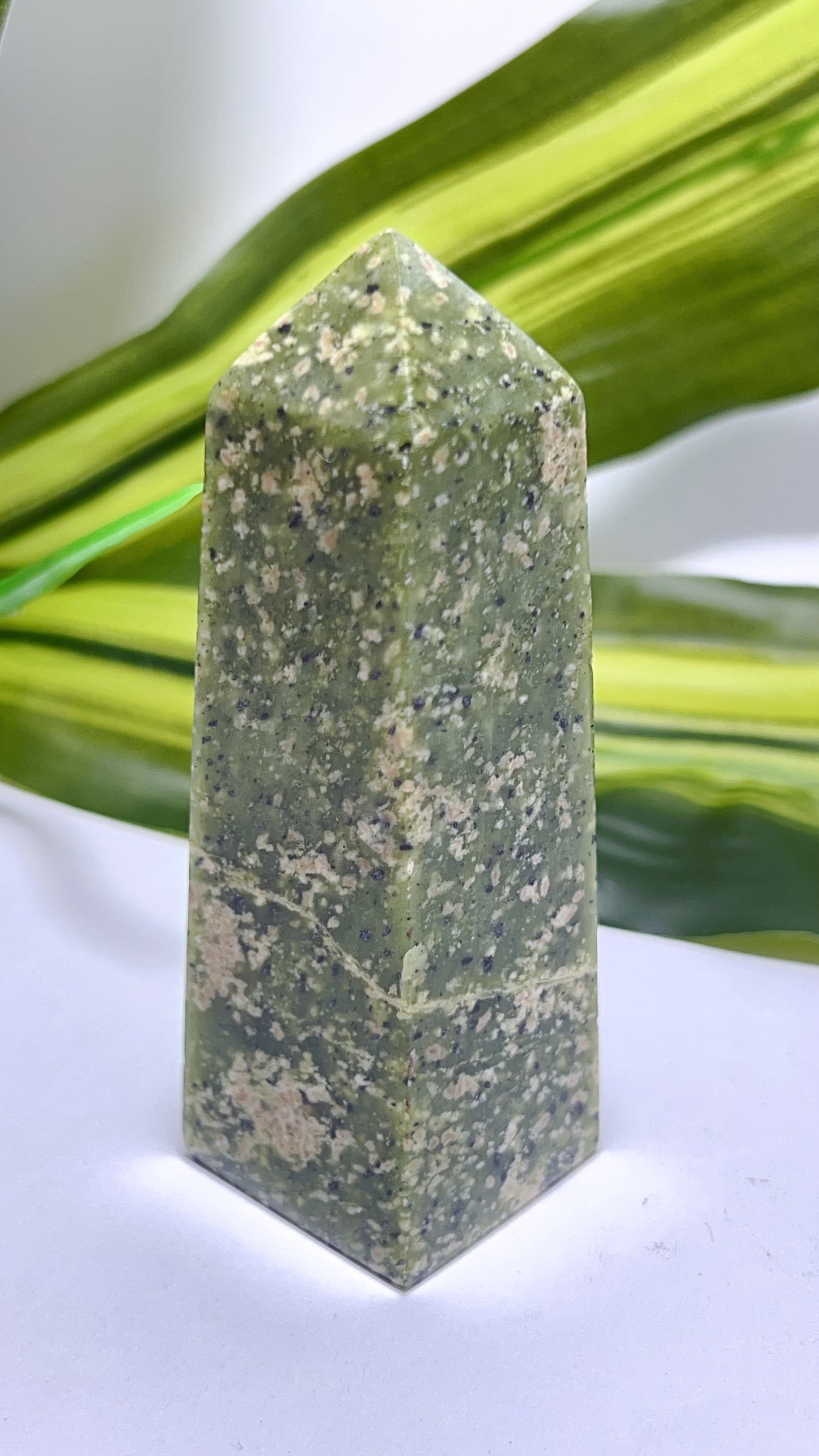 Dotted Serpentine Point 135g