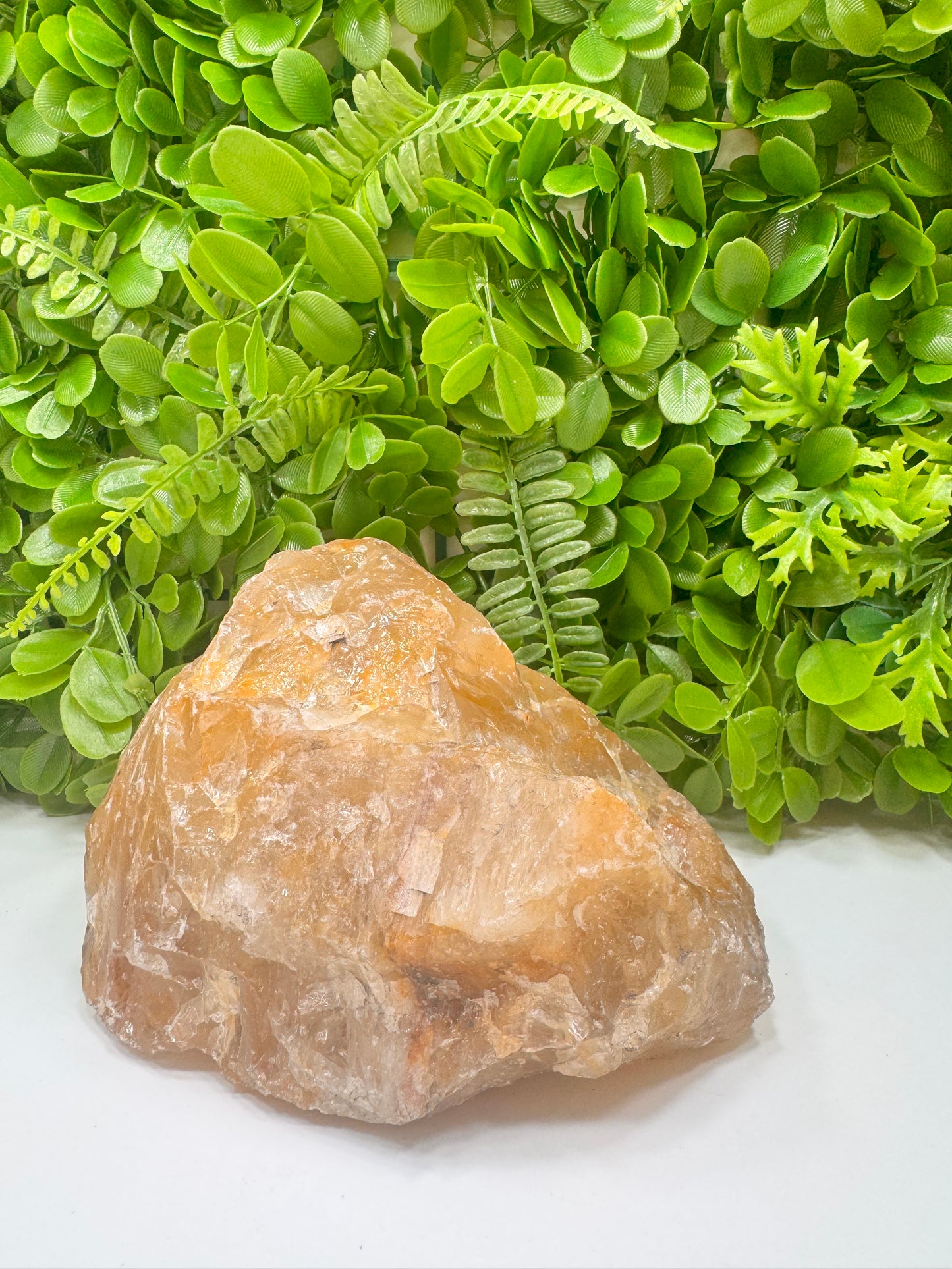 Golden Healer Raw 2680g
