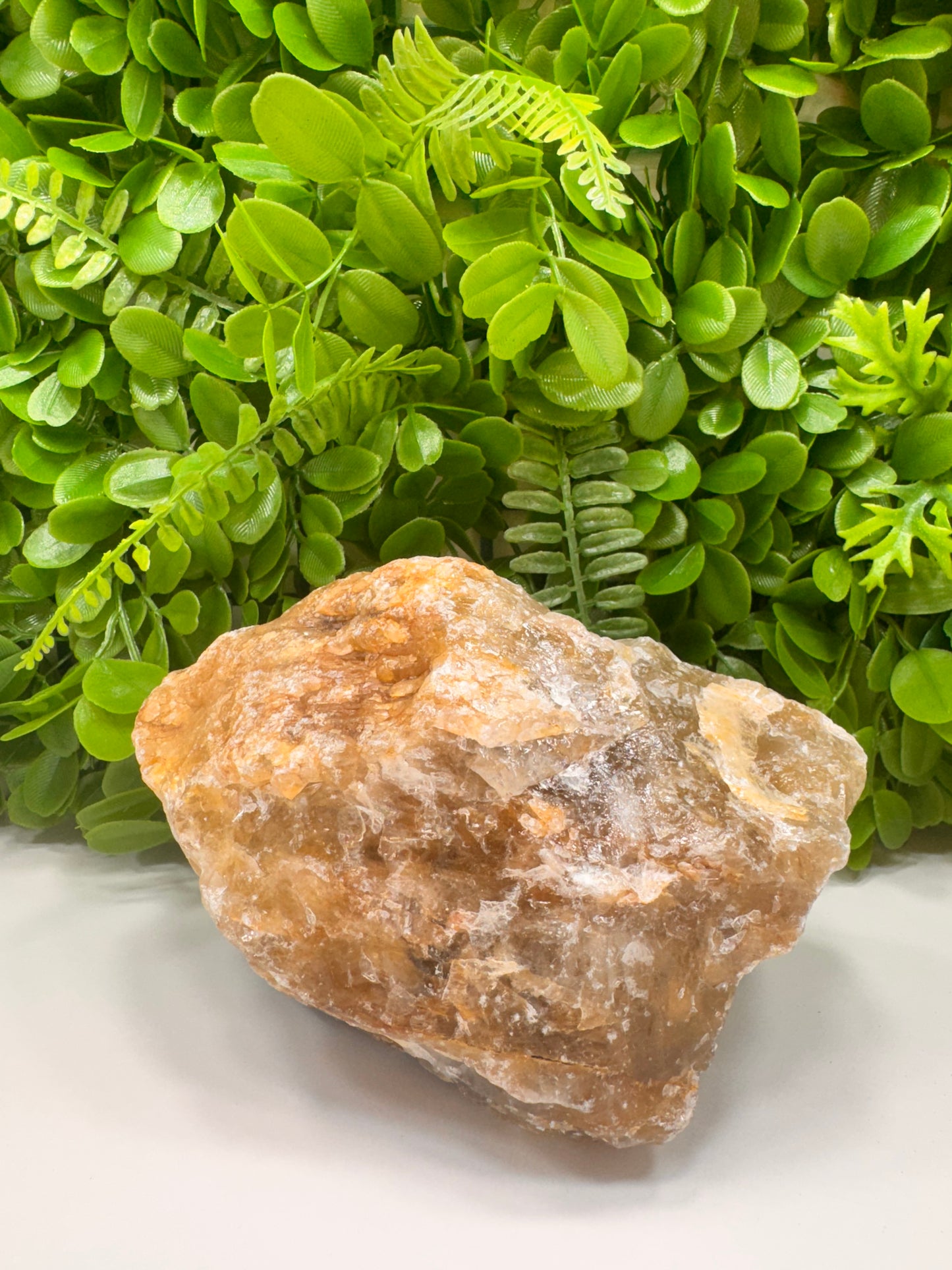Golden Healer Raw 2060g
