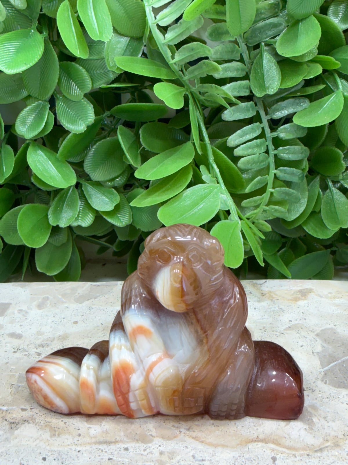 Carnelian Ape 134g | Motivation • Confidence • Creativity