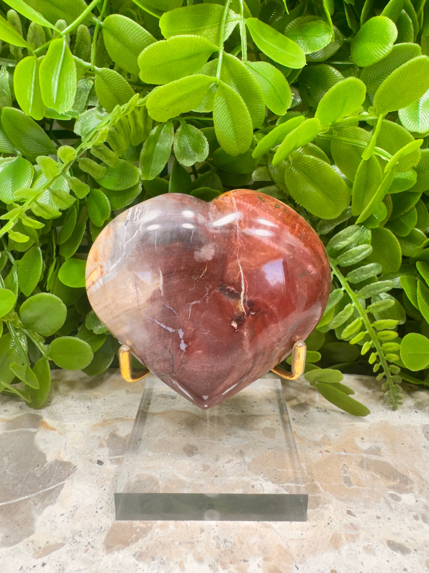 Petrified Wood Heart 252g