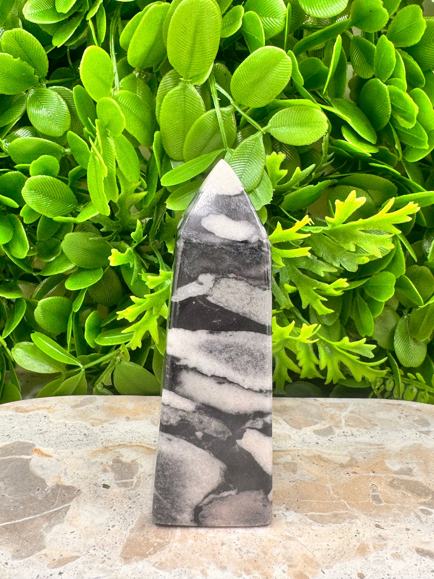 Shell Jasper Tower 278g