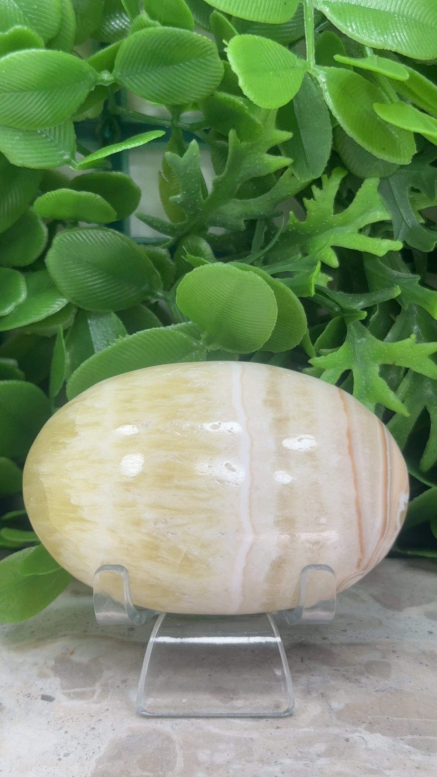 Pineapple Calcite Palm Stone 142g