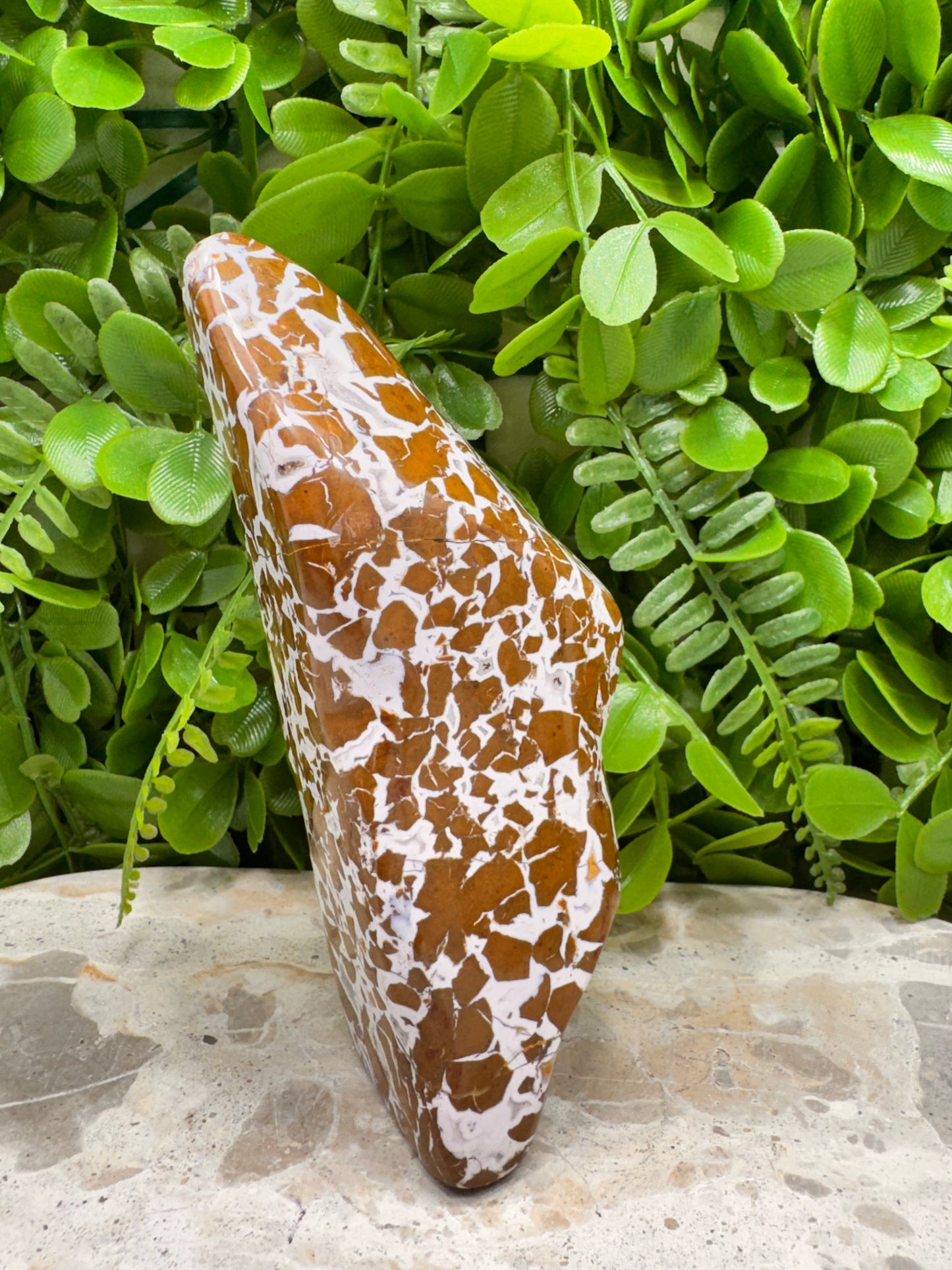 Jasper Agate Freeform 494g