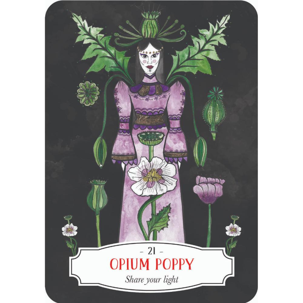 Deadly Apothecary Oracle Cards