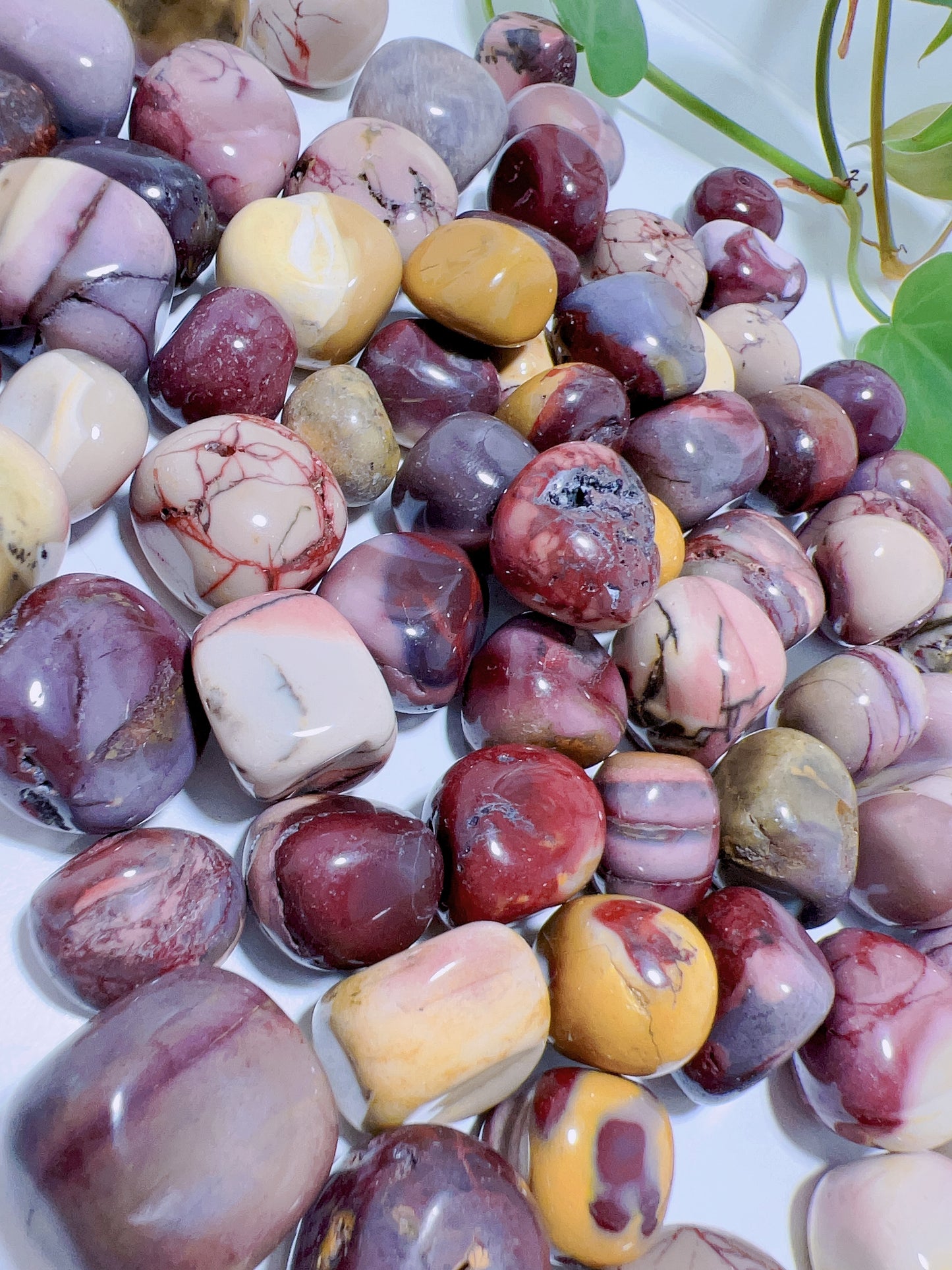 Mookaite Jasper Tumble
