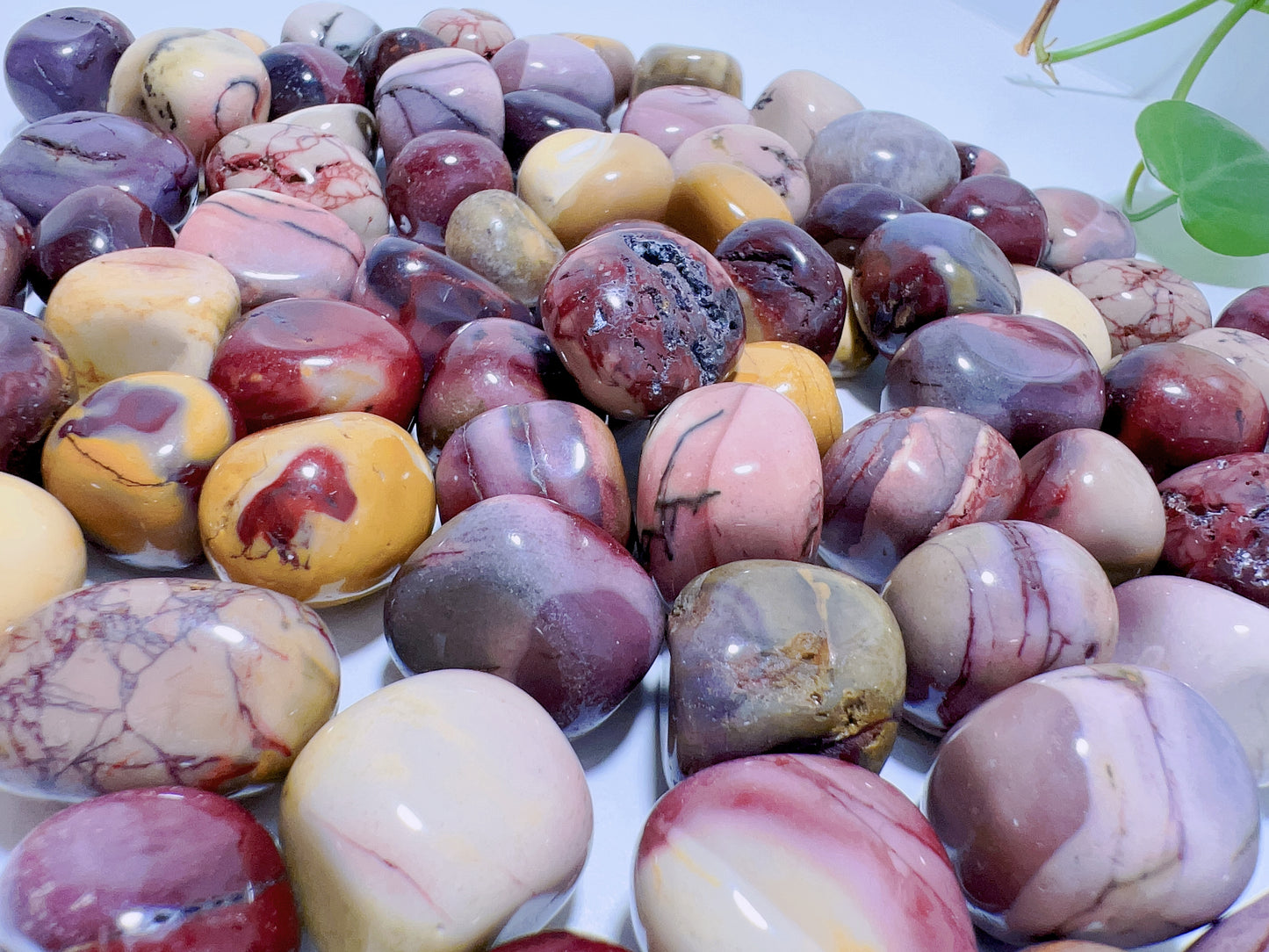 Mookaite Jasper Tumble