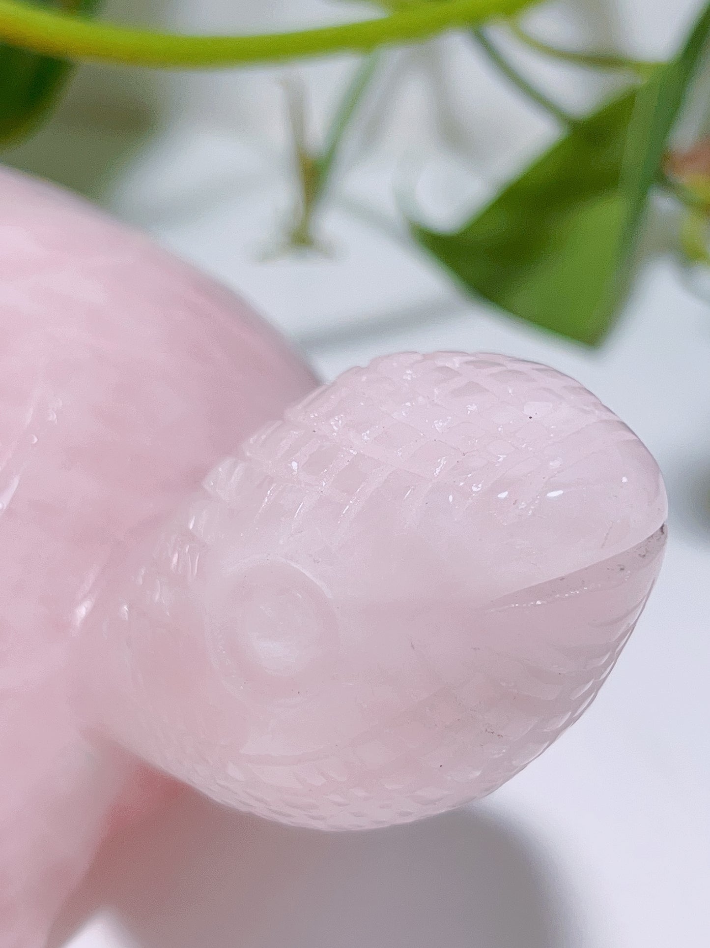 Rose Quartz Turtle 1016G