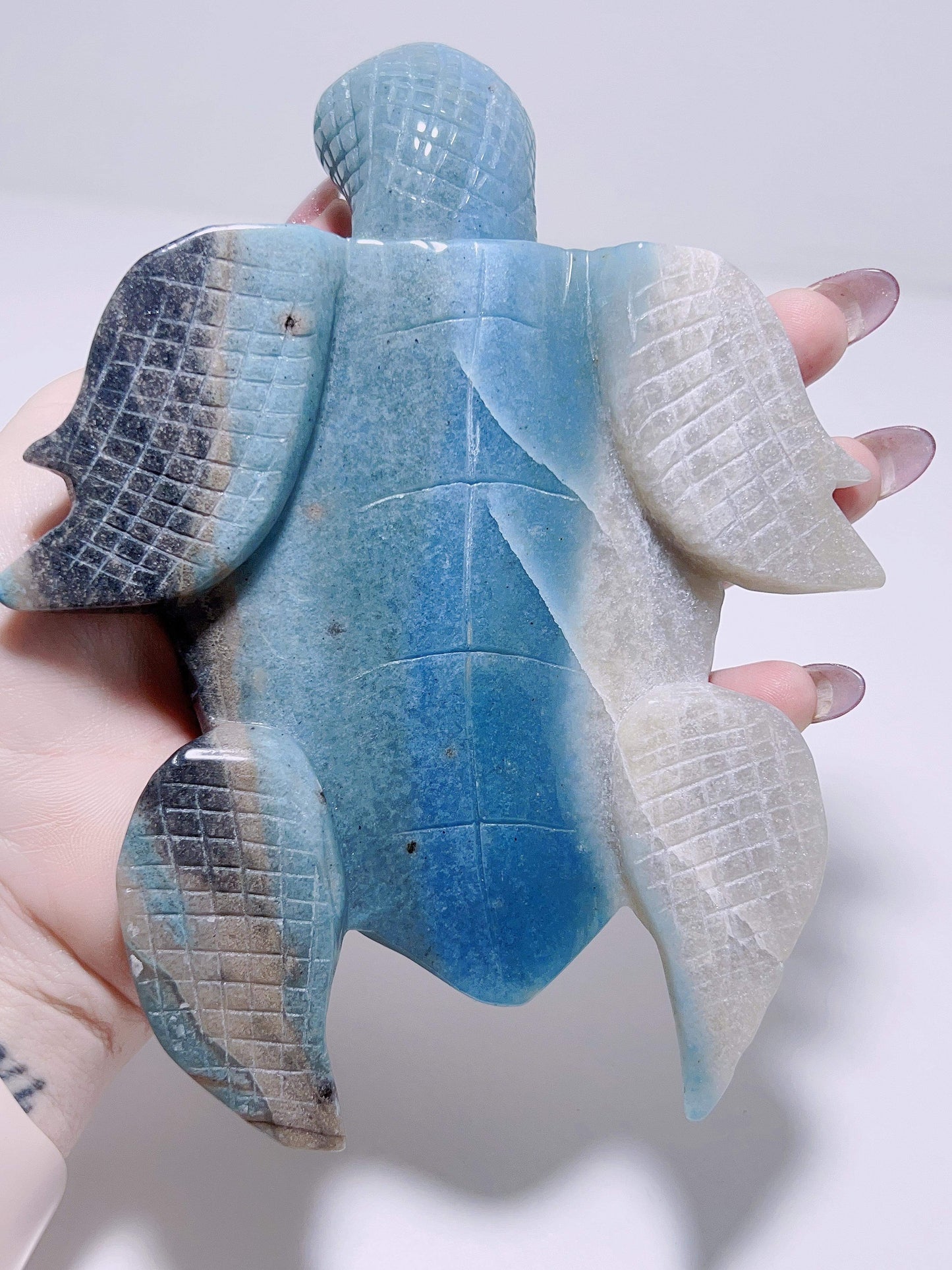 Trolleite Turtle 750G