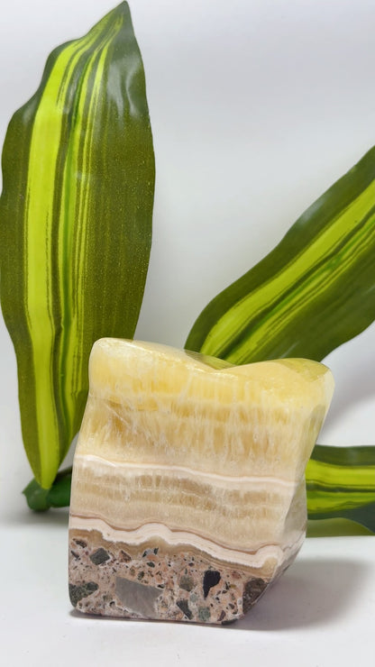 Pineapple Calcite Freeform 524g